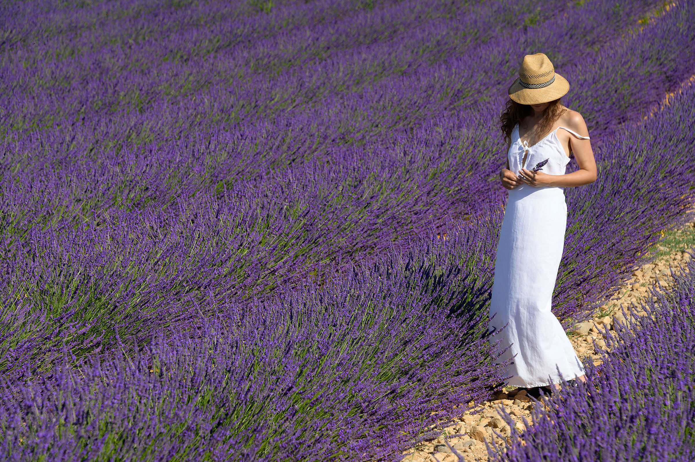 Provence