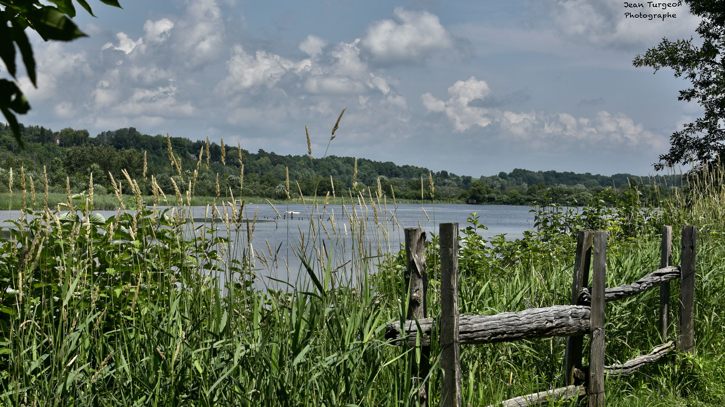 Paesaggio all'interno della foresta...