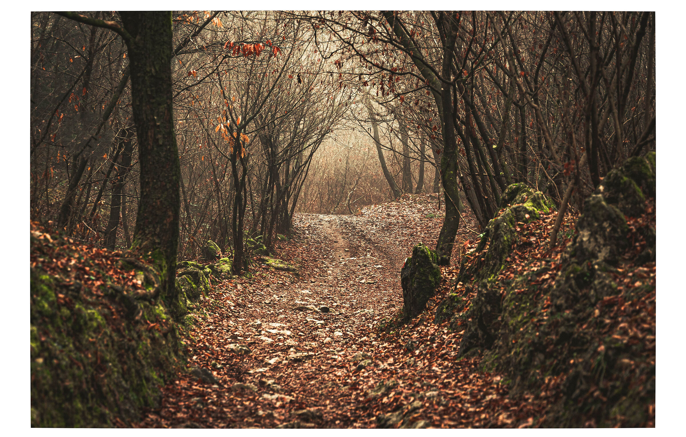 Untitled Photo