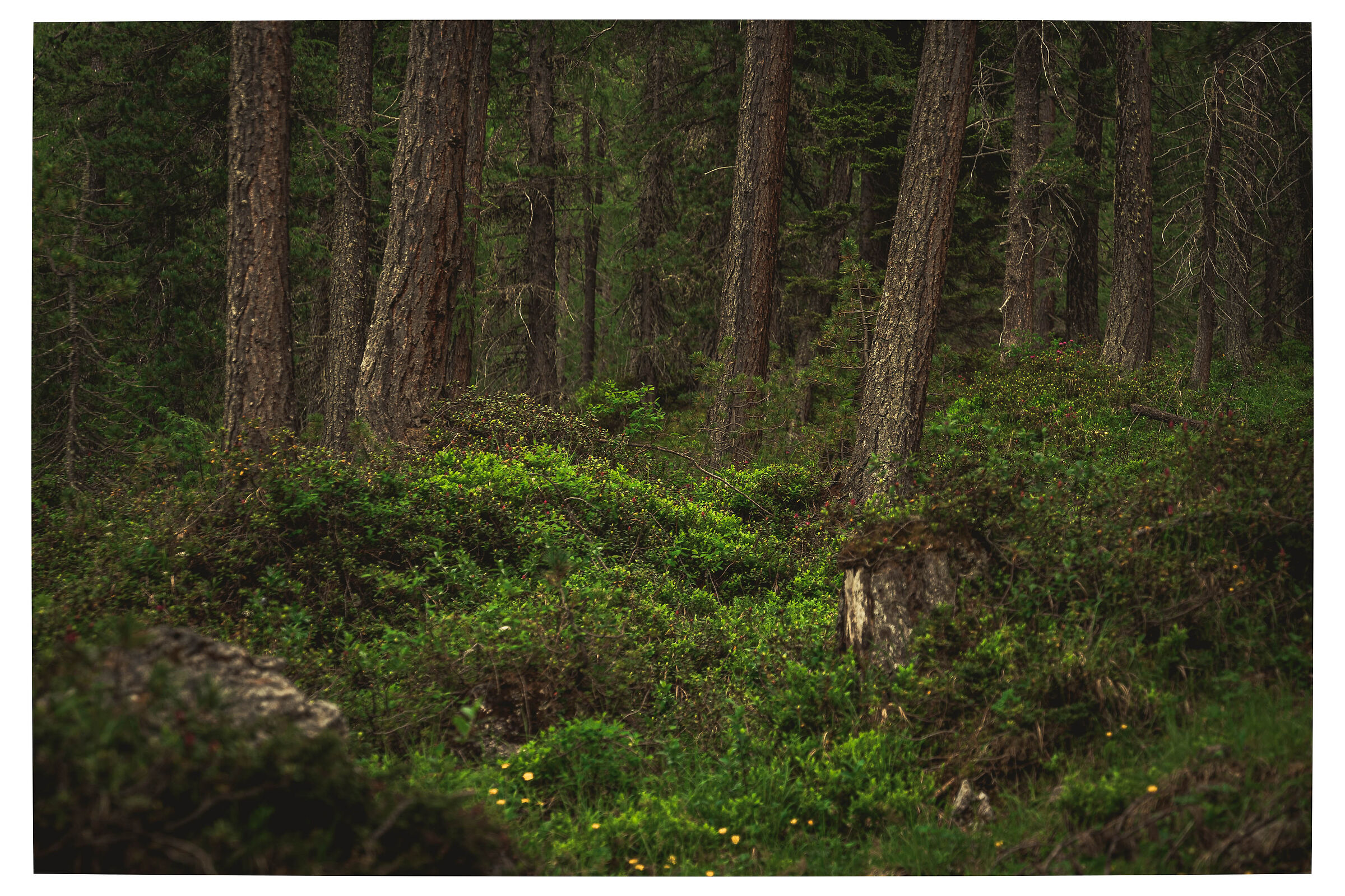 Untitled Photo