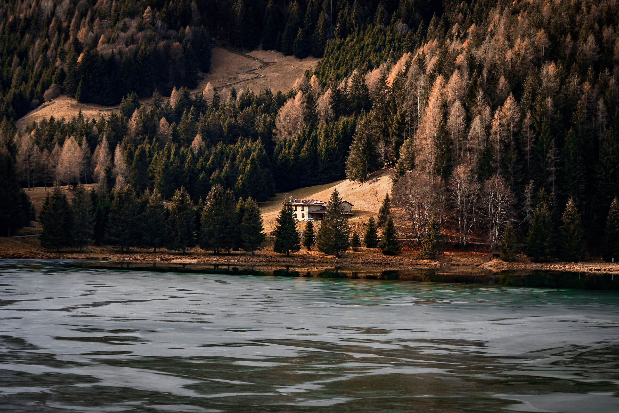 Untitled Photo