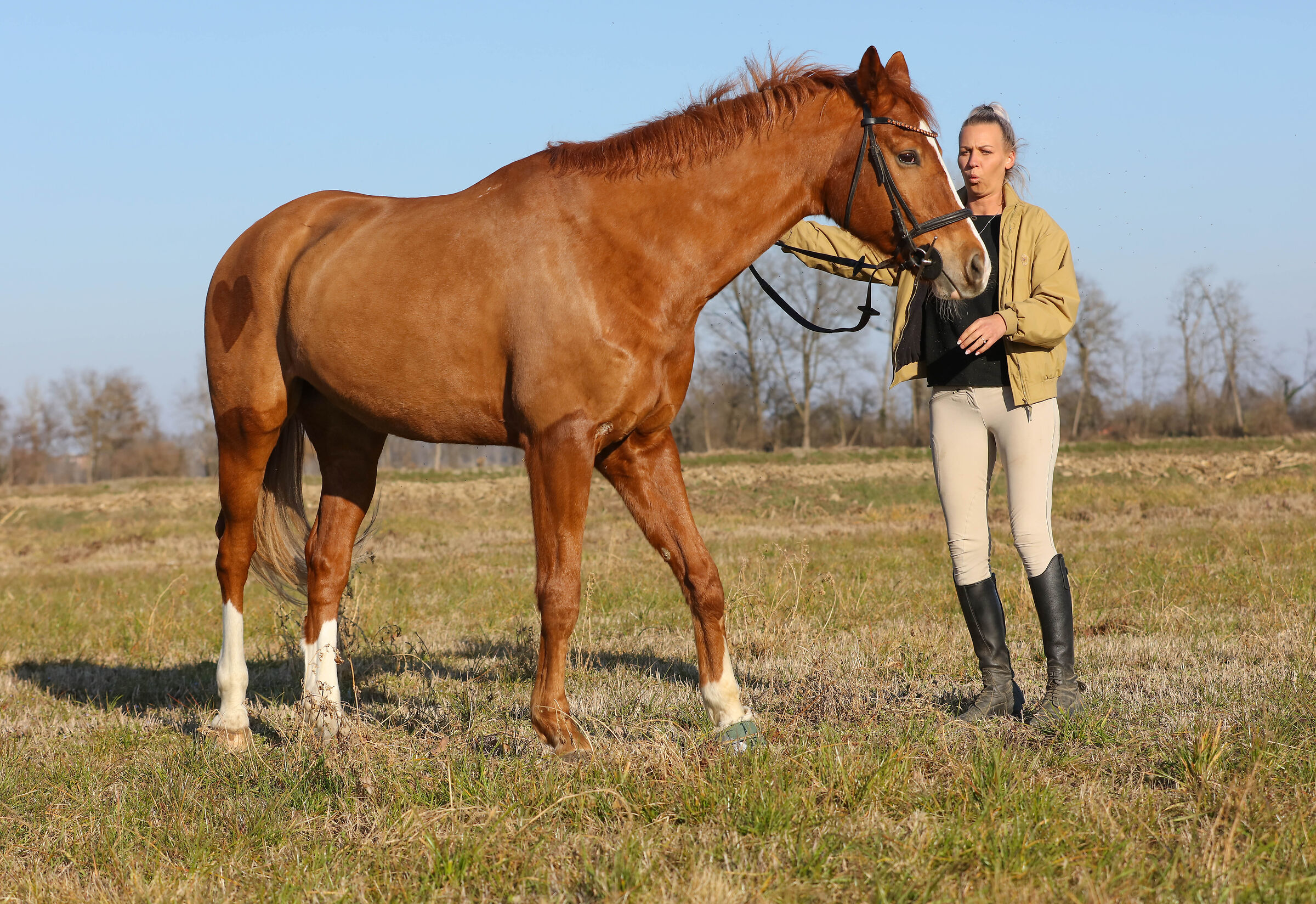 Is my tractor or Petra's horse more beautiful????