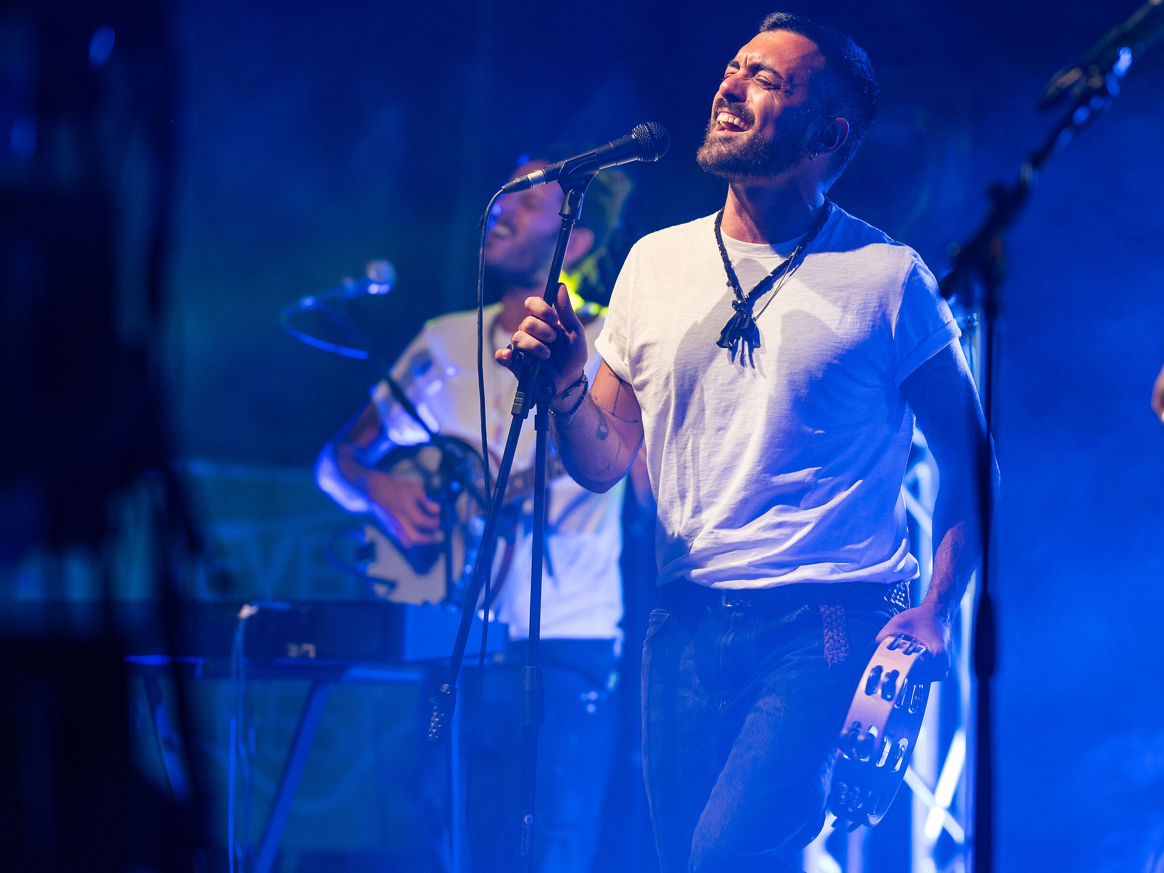 The Spell of The Ducks