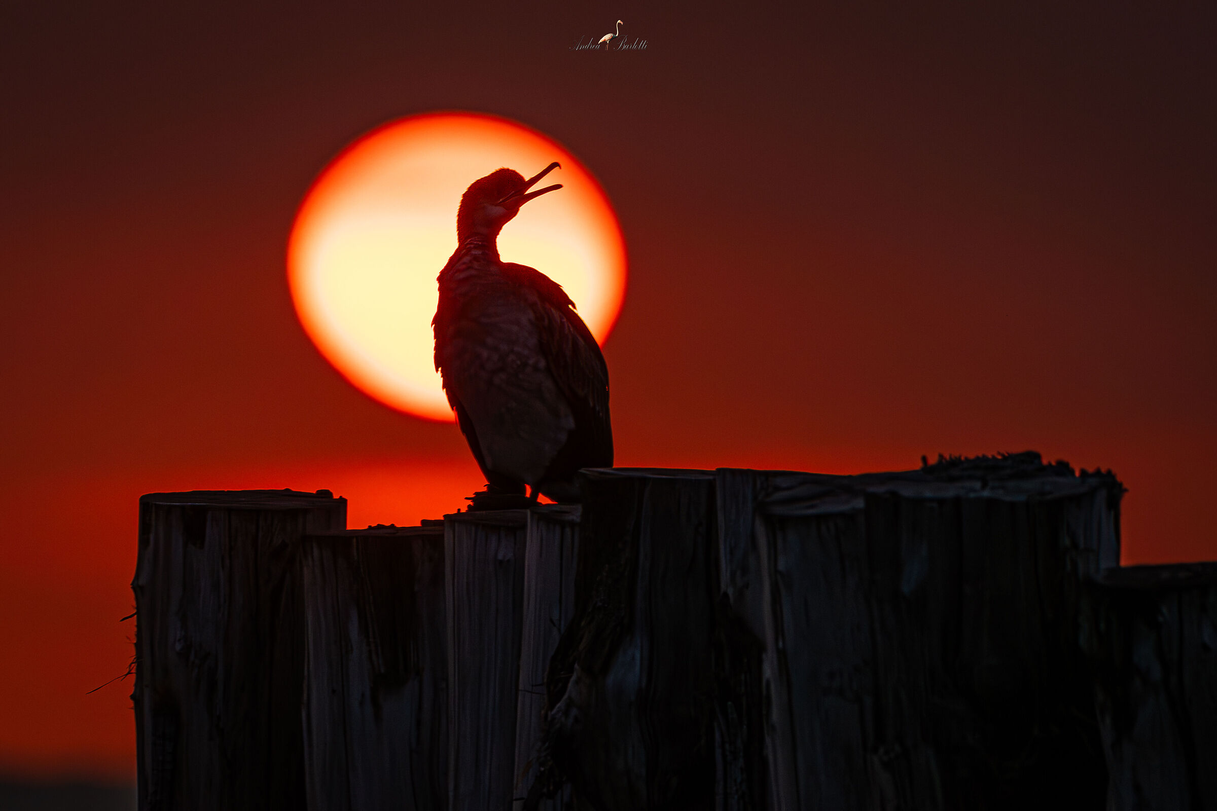 Moment of magic
