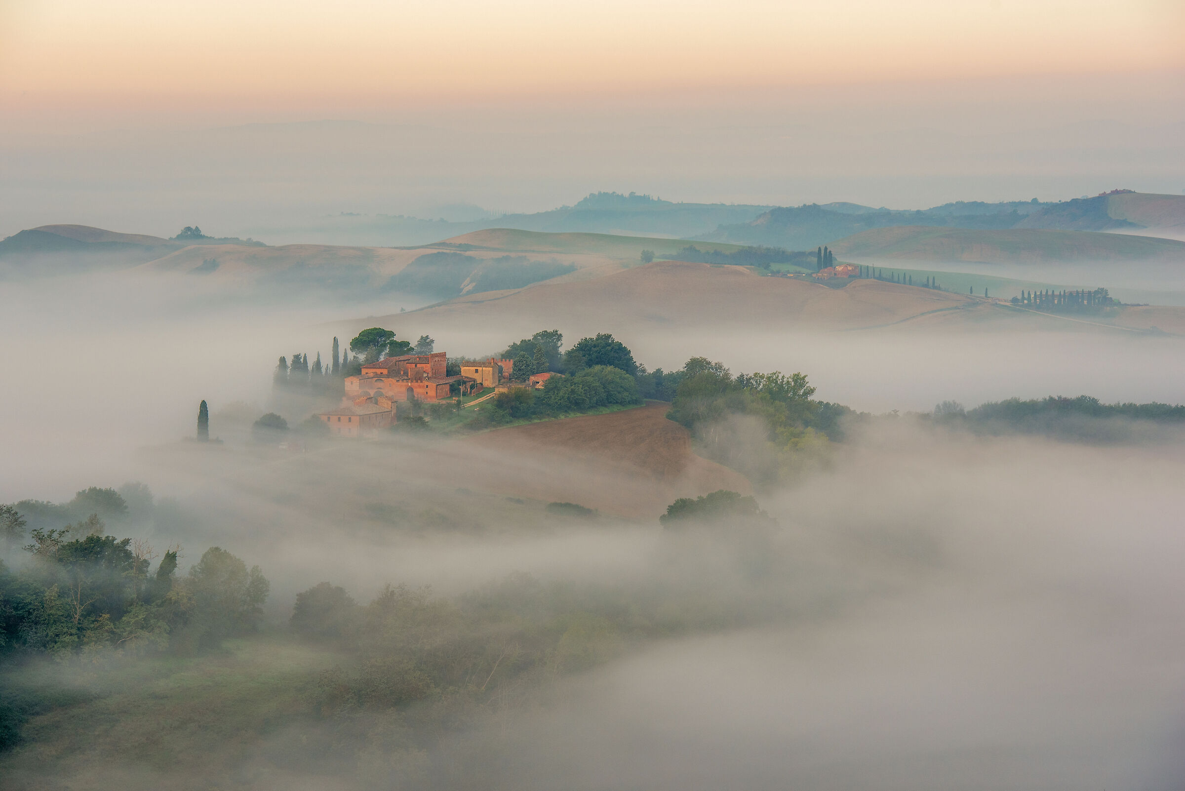 a sweet awakening...