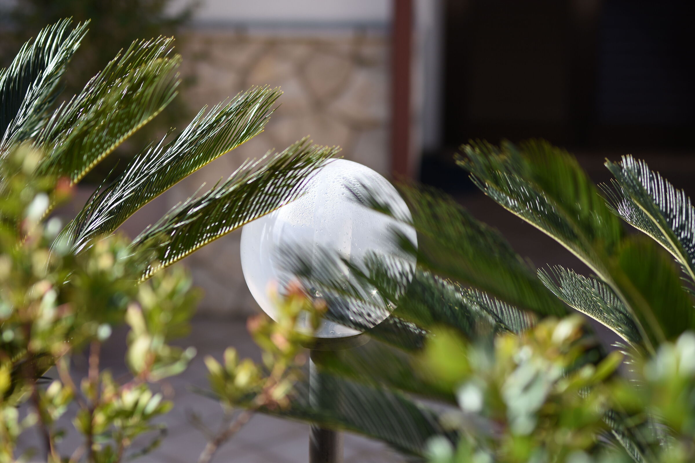 " @ F. 1.7 ", 1/4 Mila, Sigma 85 1.4 Art- Nikon D ...