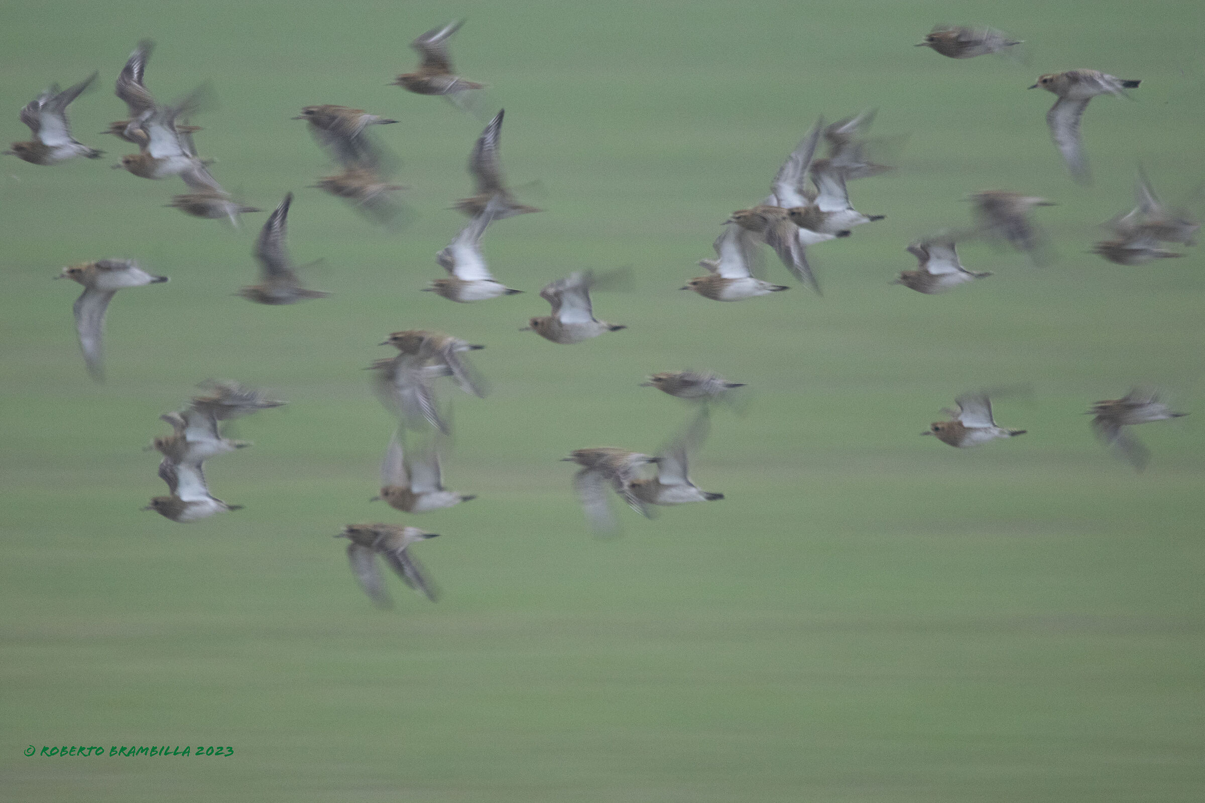 Fighters in flight
