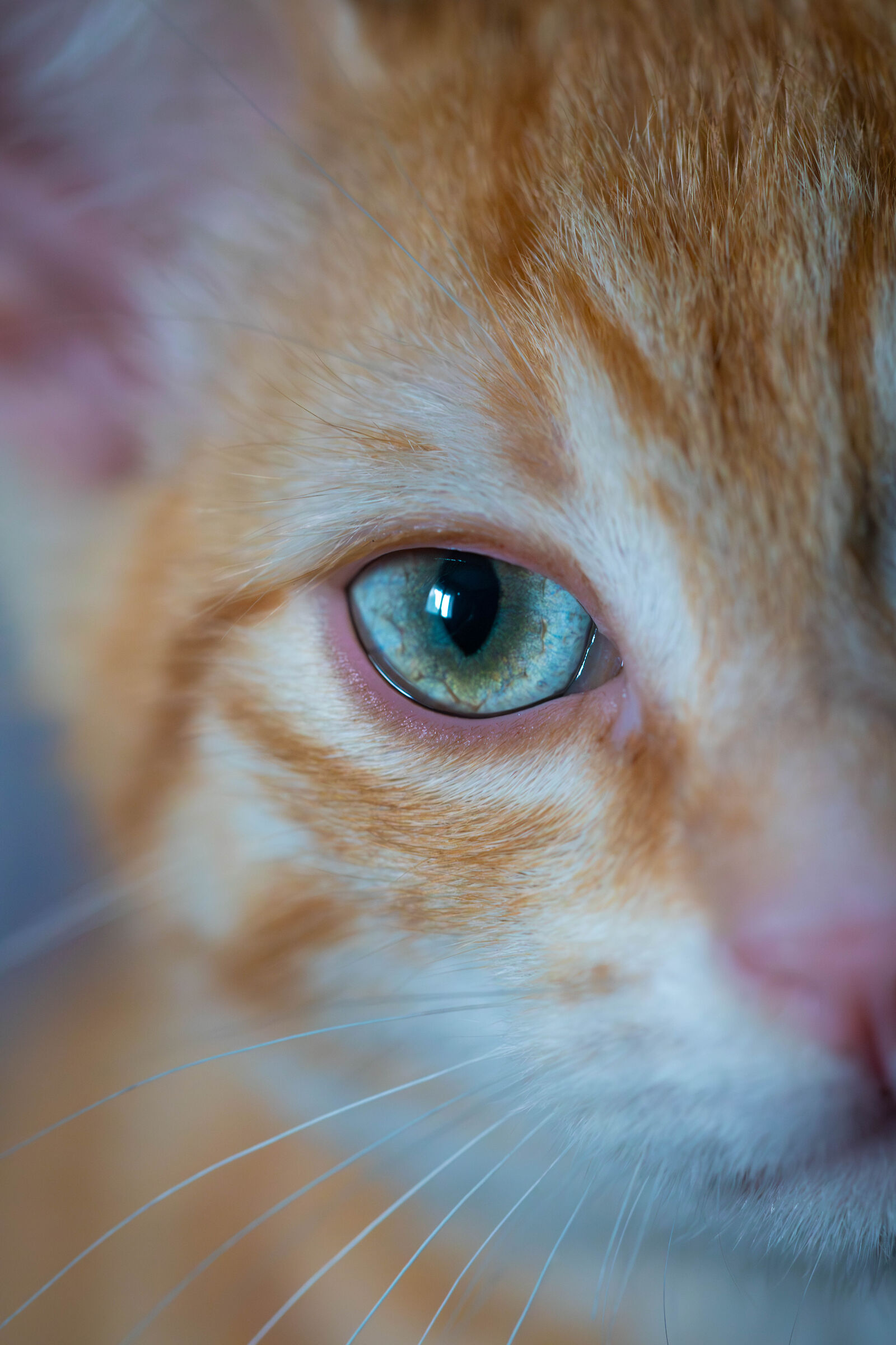 Uno sguardo sul mondo