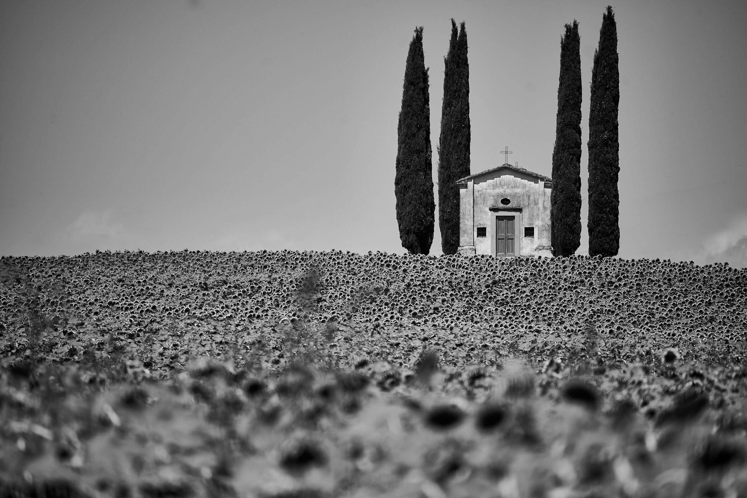 Campagna Pisana San Pierino
