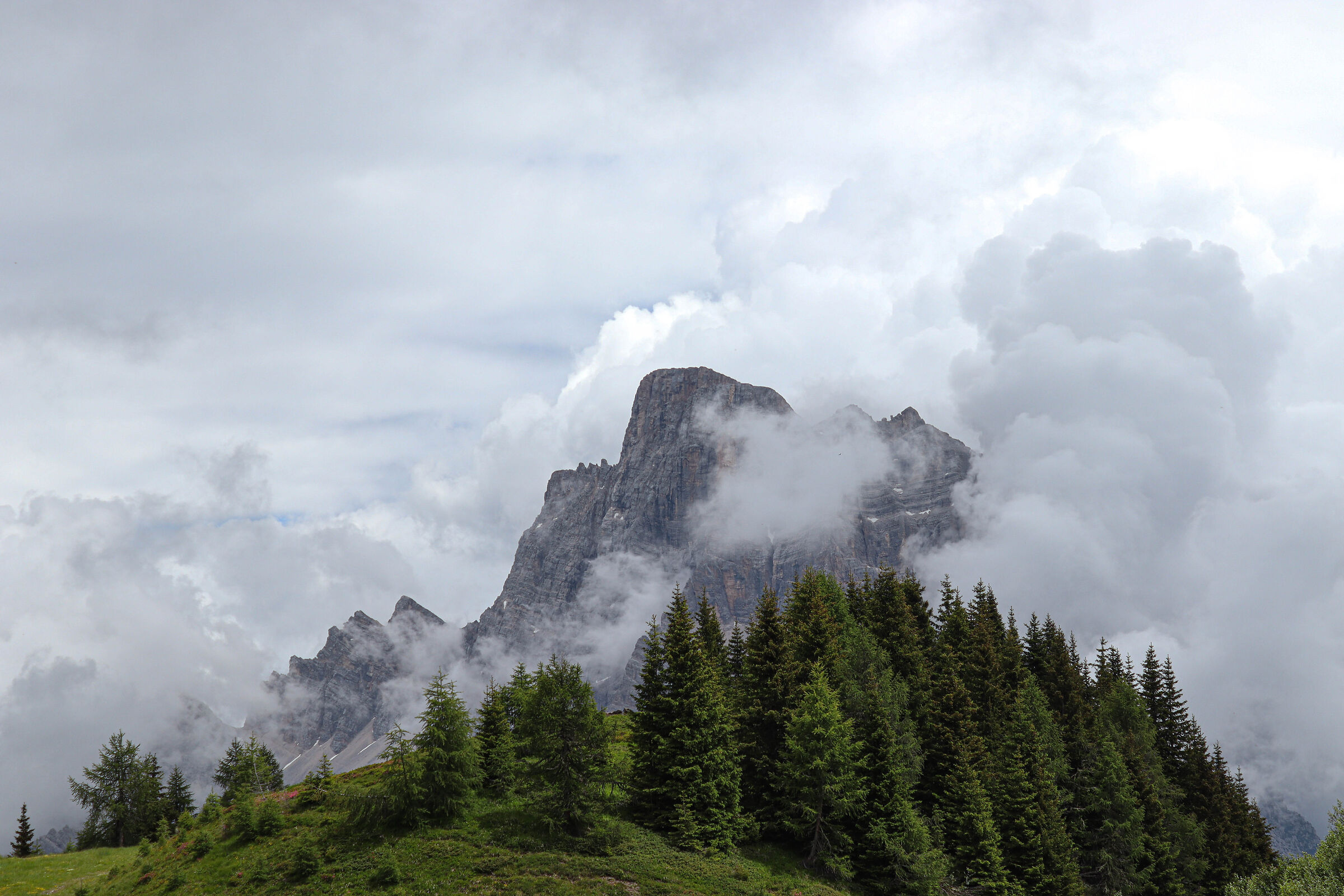 Untitled Photo