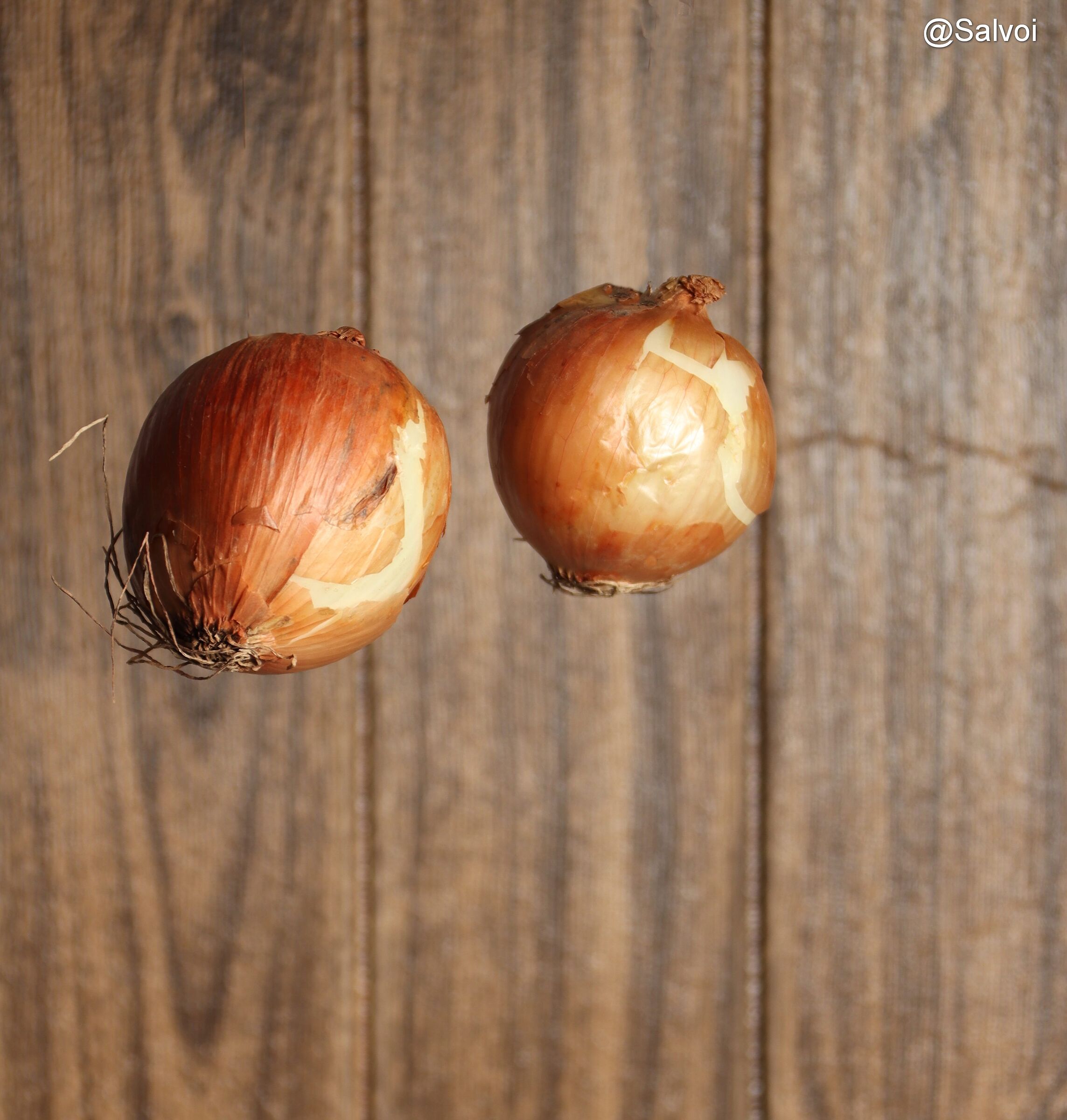 Onions