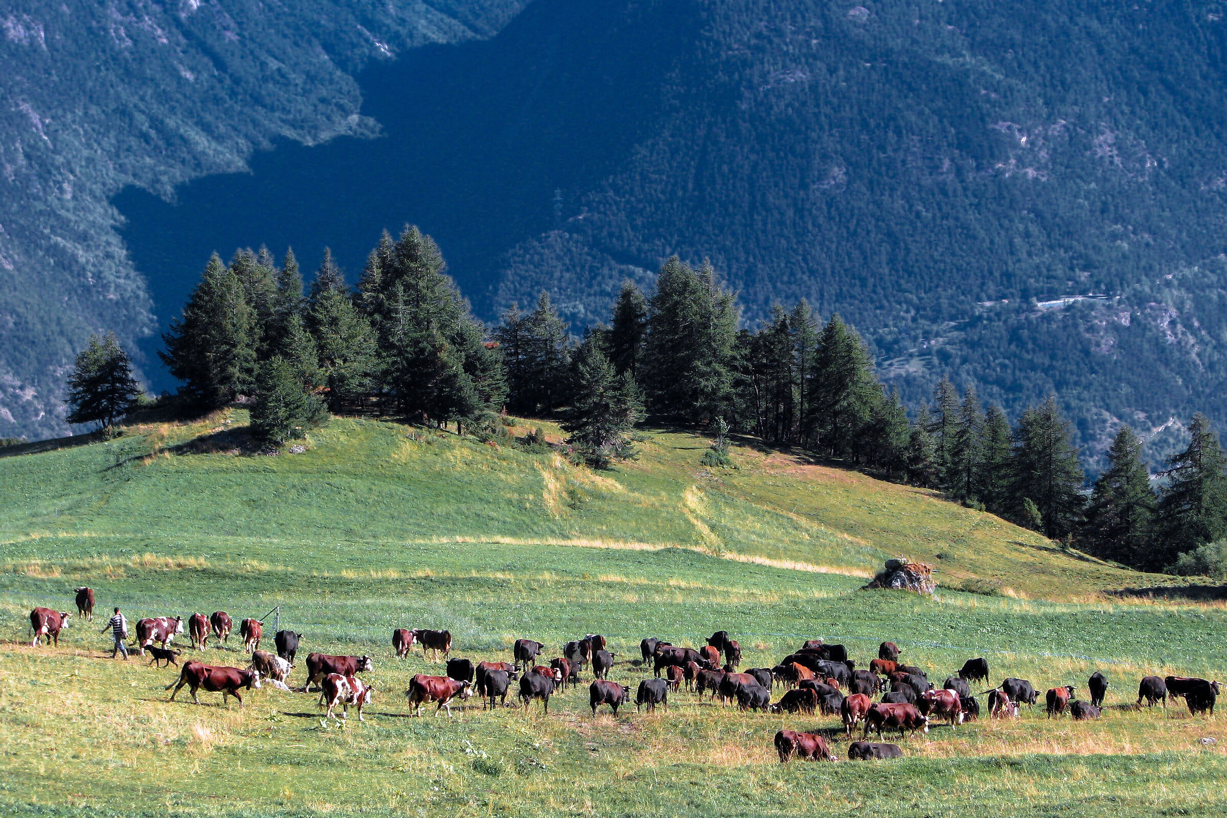 Valle d'Aosta Vetan ... la magia della montagna