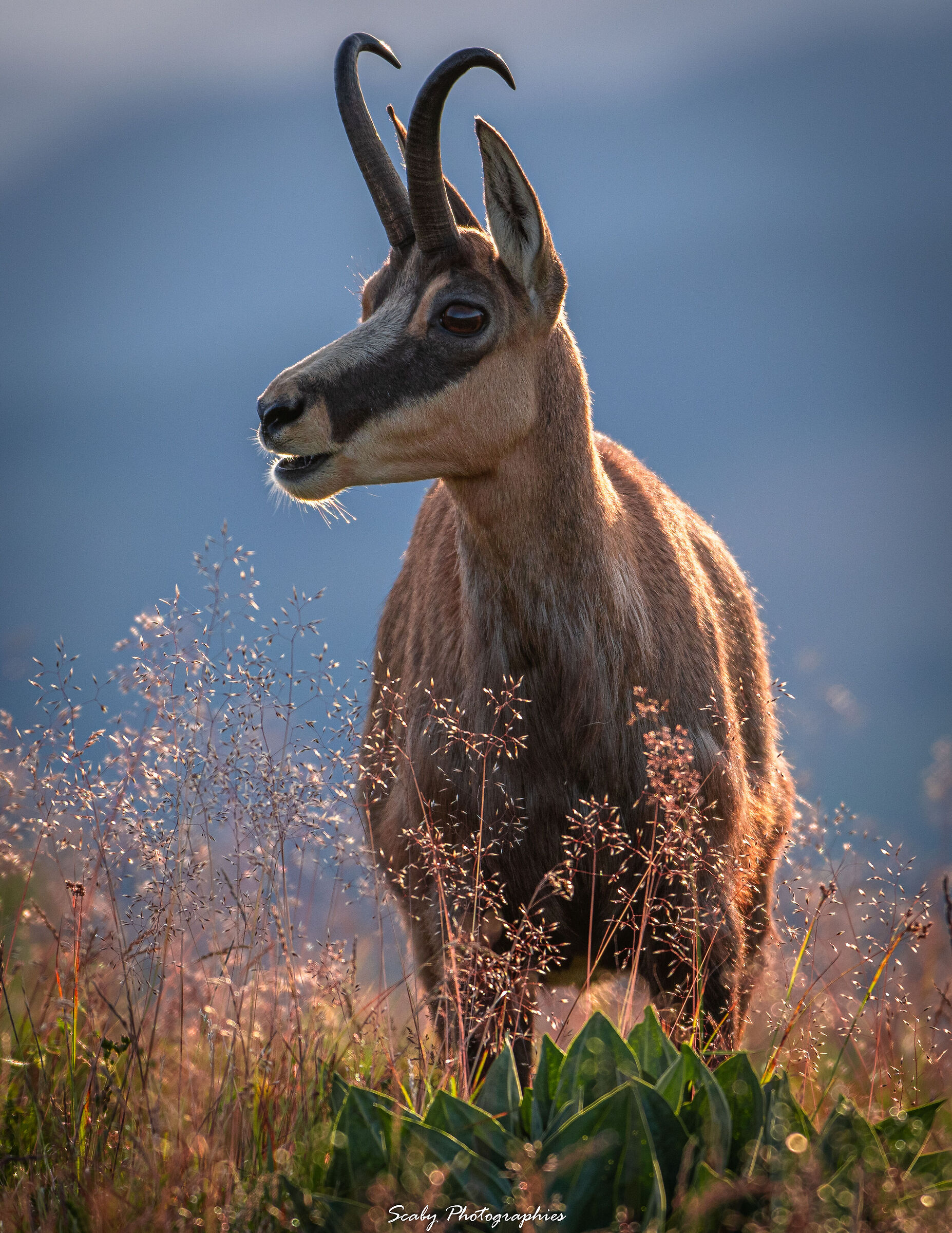 Un bellissimo meeting !!
