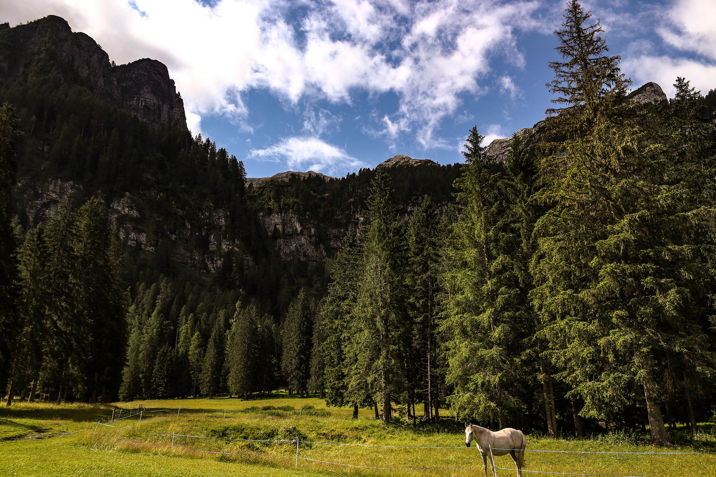 Untitled Photo