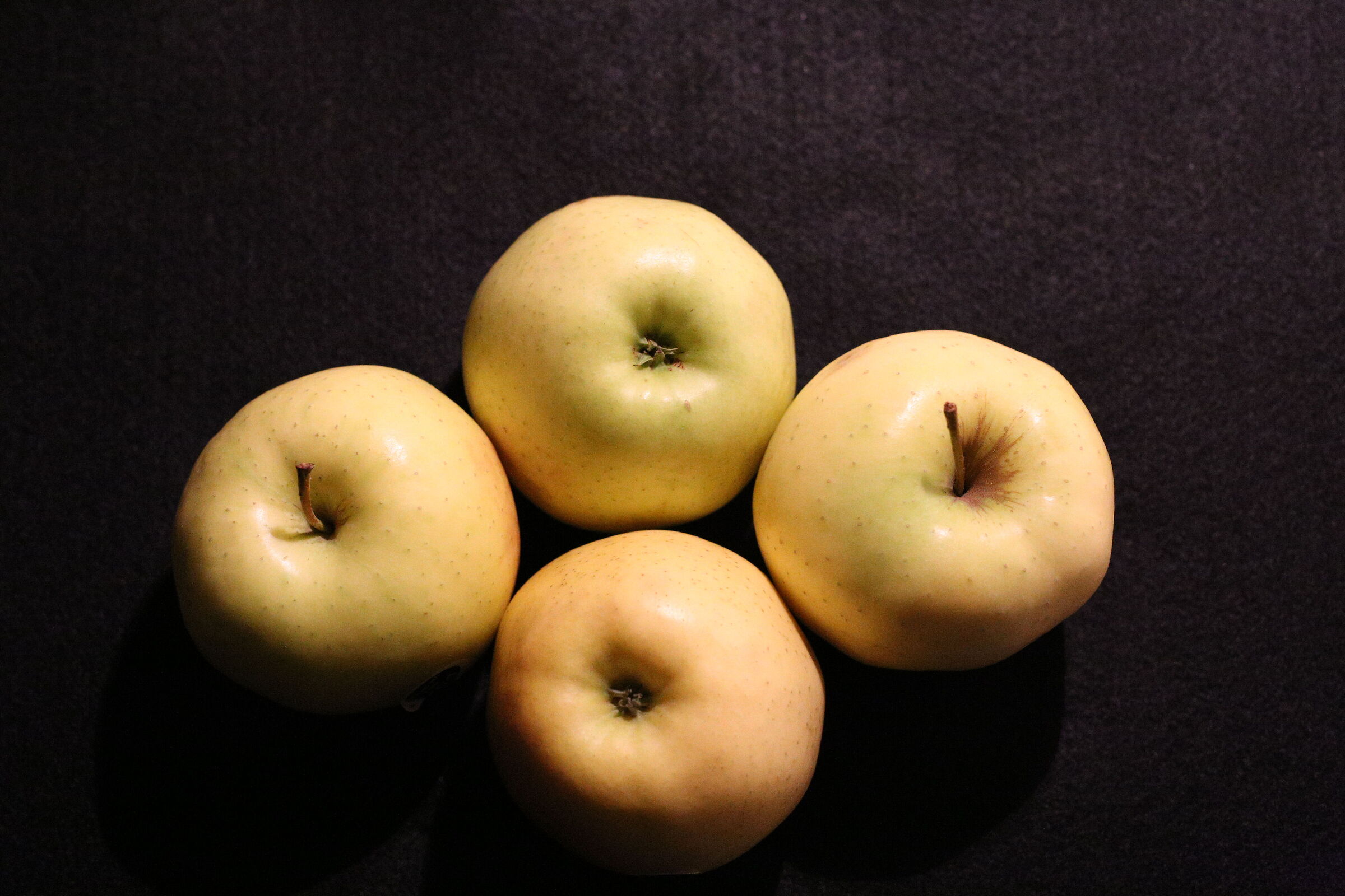 " ISO 12 Mila 800 ", Milvus Zeiss 50, 1.4- Canon 6...