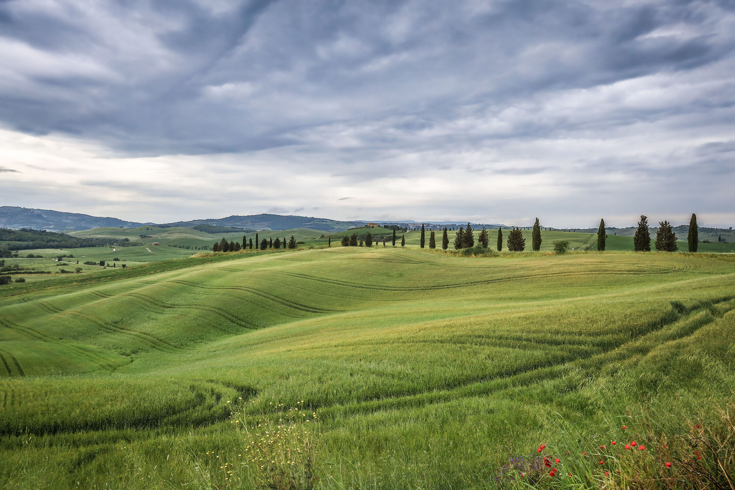 Val D'Orcia