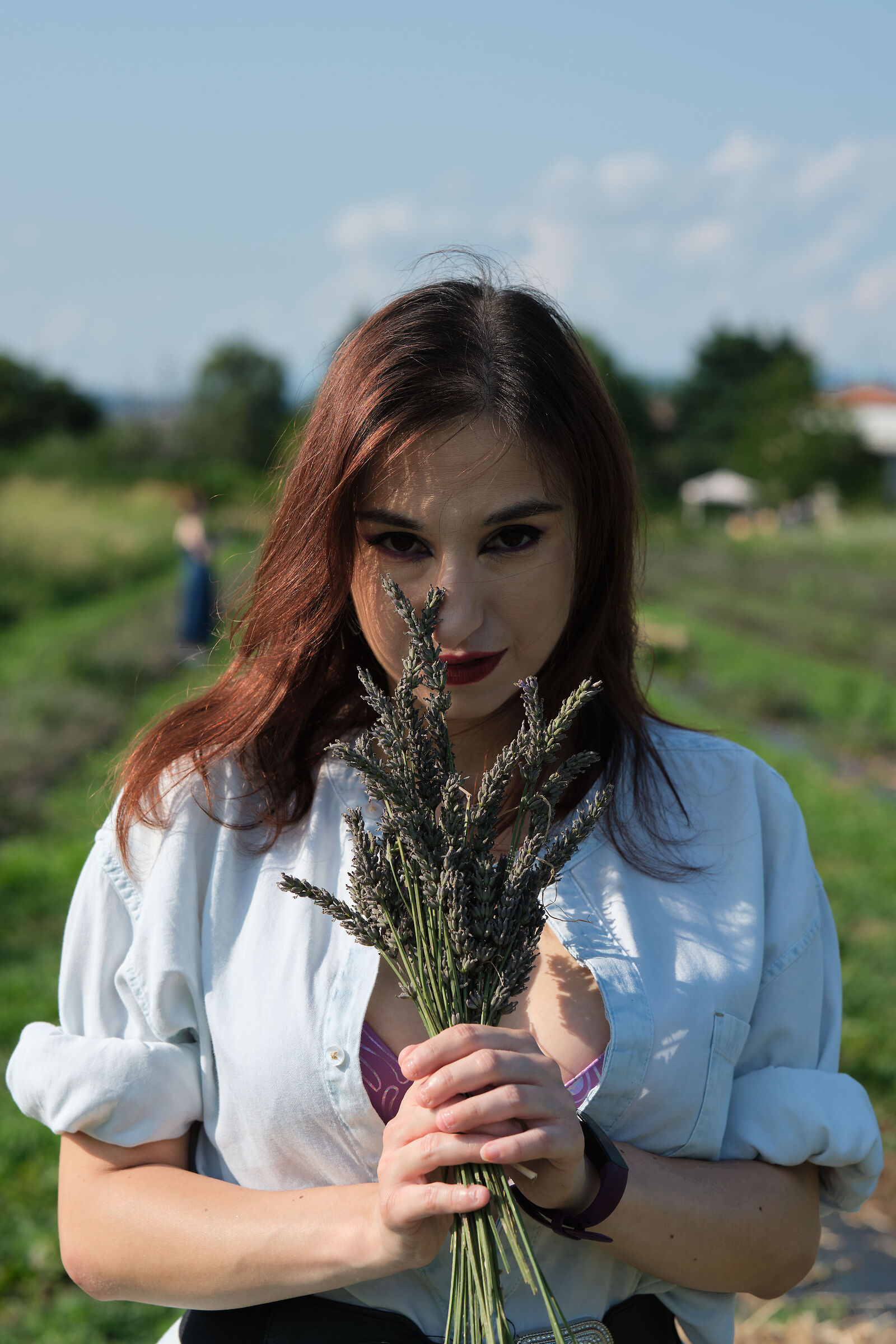 Krysal - Lavender