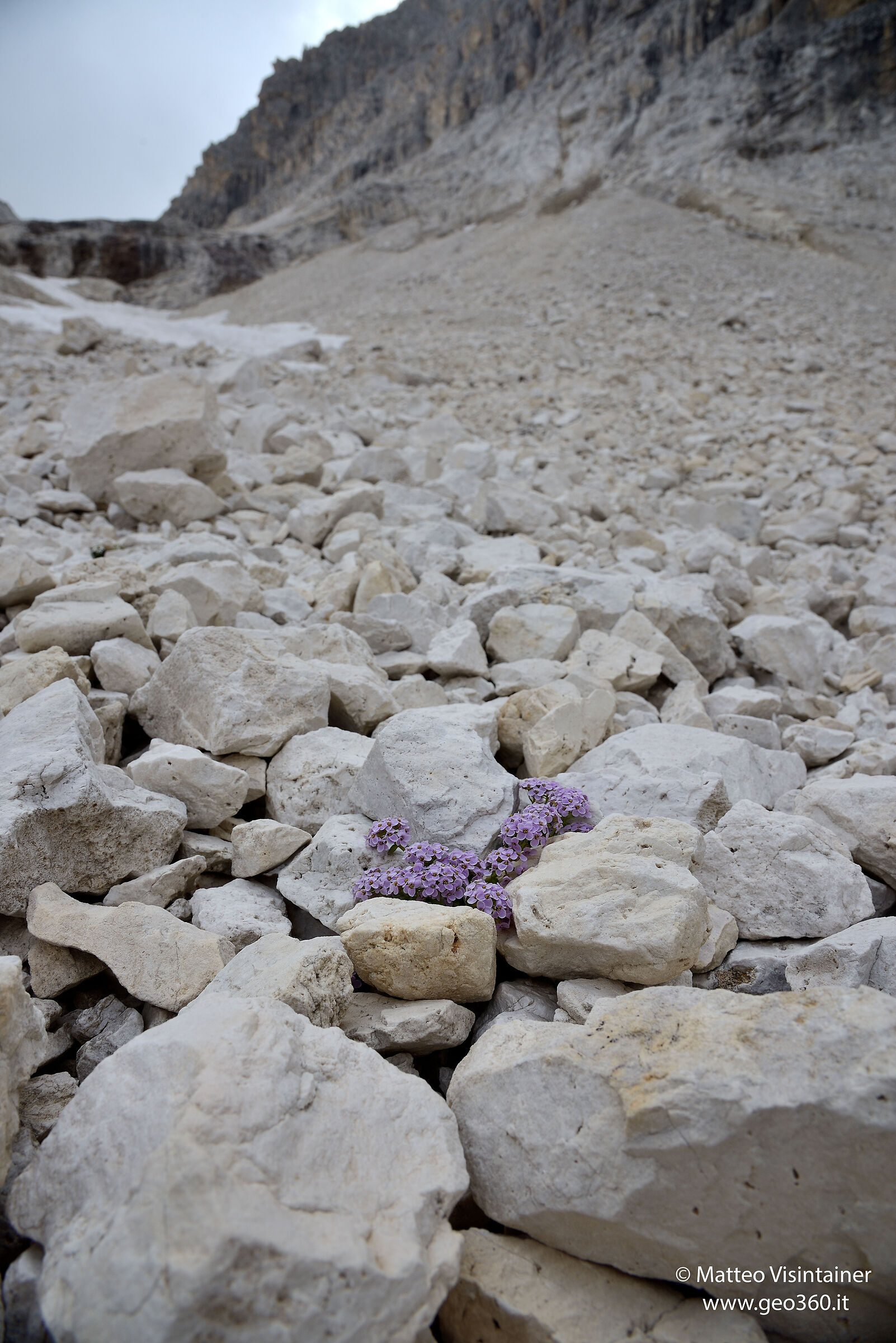 The environment that chose me