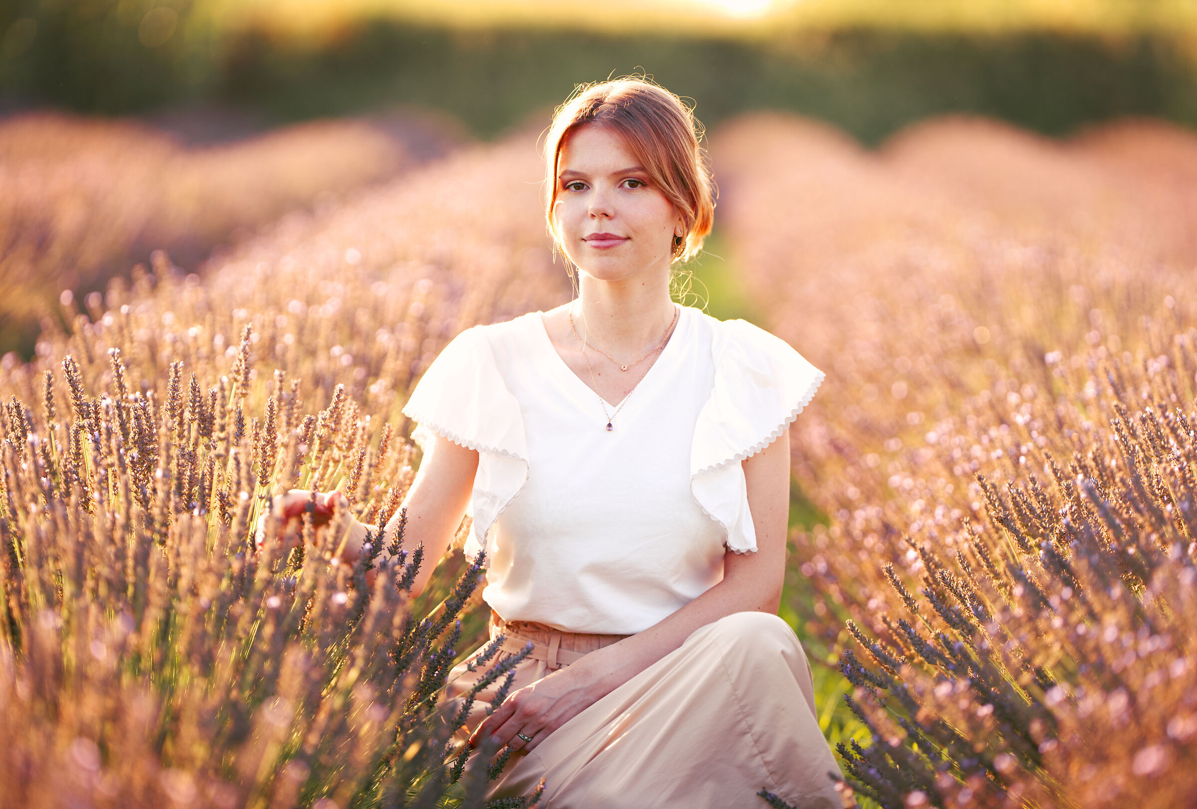 Alla Lavanda di Massarosa