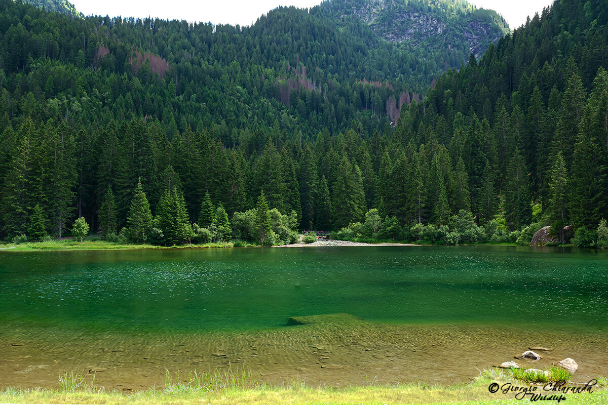 Lago dei caprioli