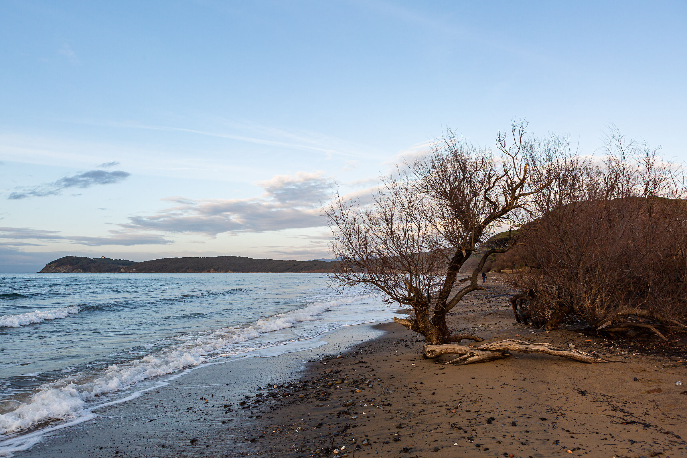 The sea in winter.... Barter