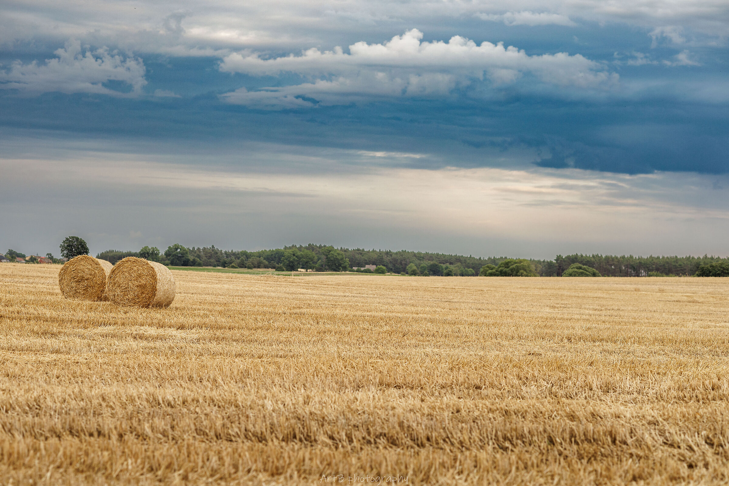 Hay bales