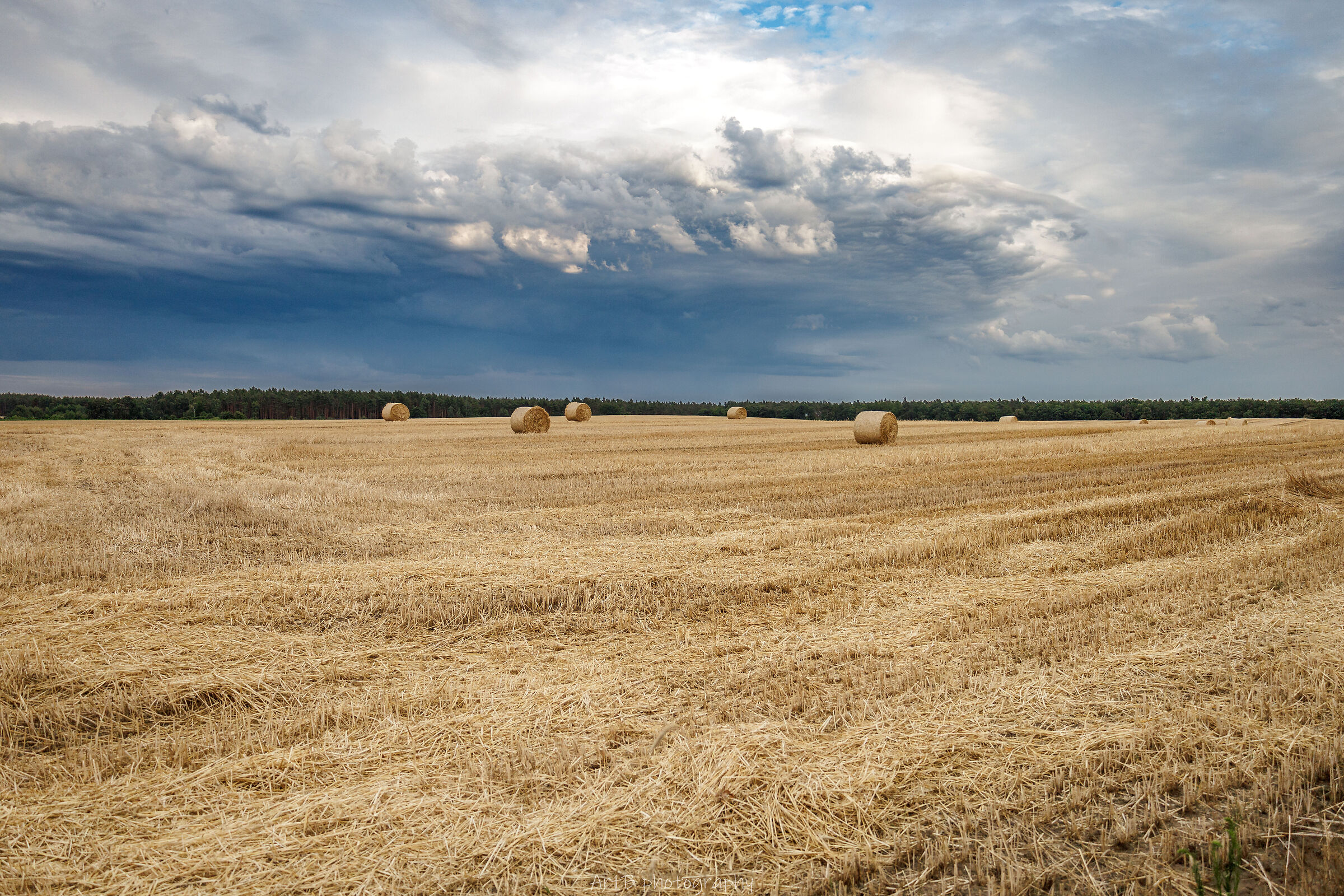Hay bales
