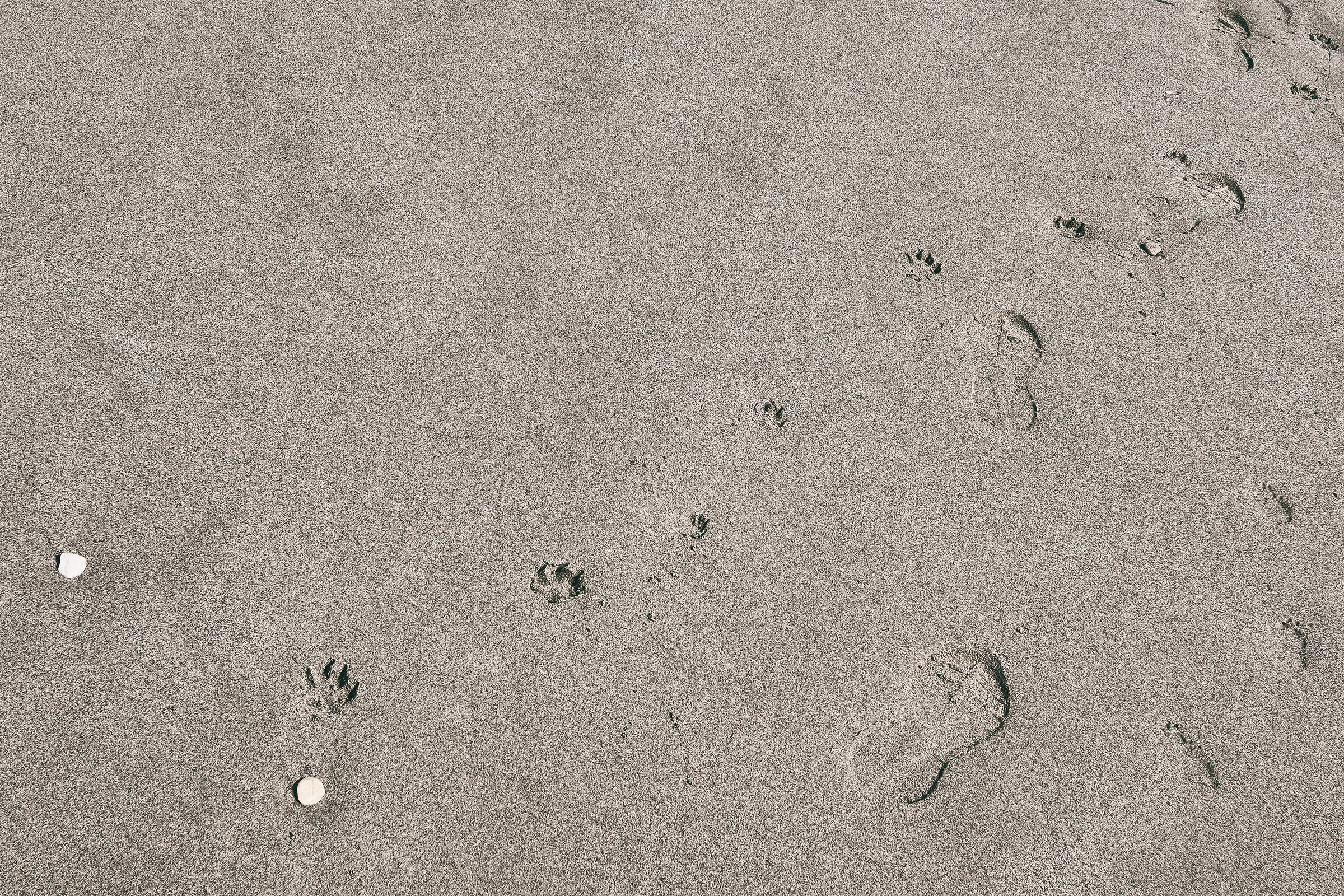 Traces and Shells