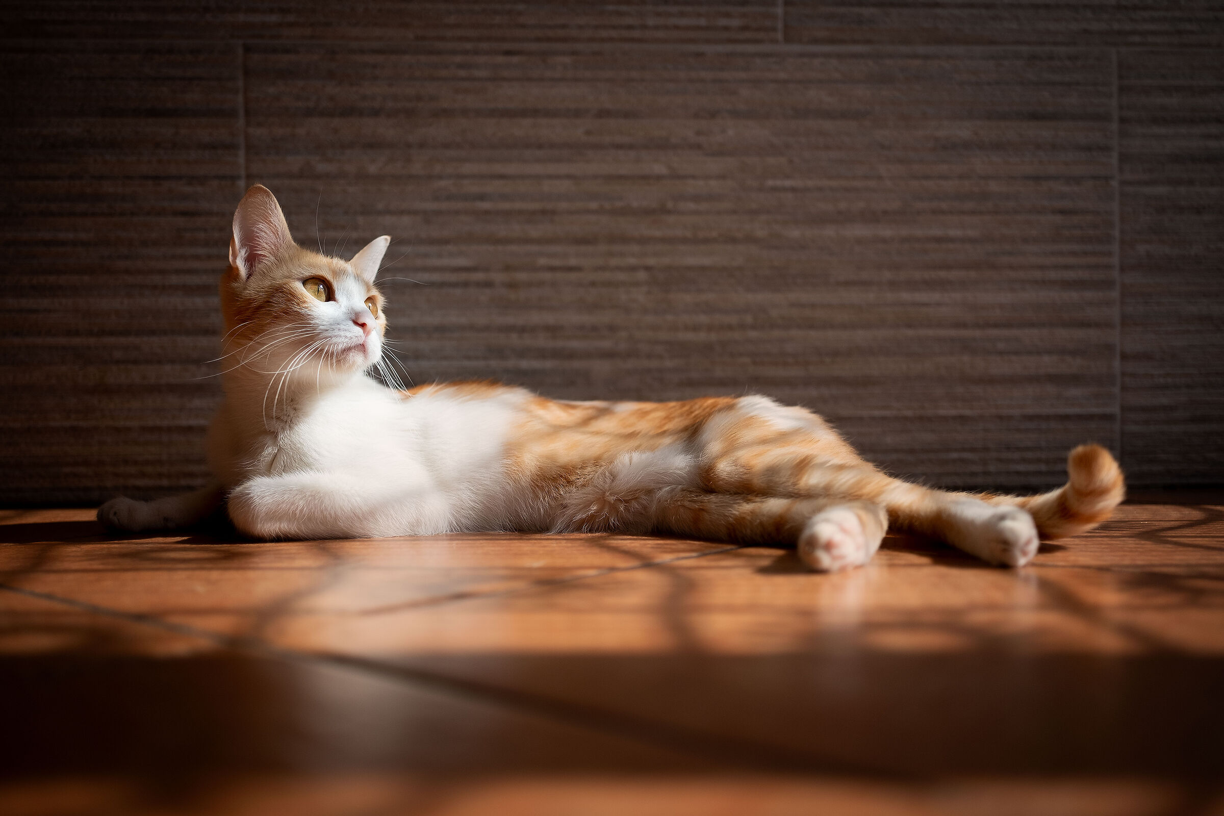 Senza Titolo