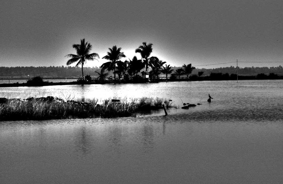 calm water and warm evening ...