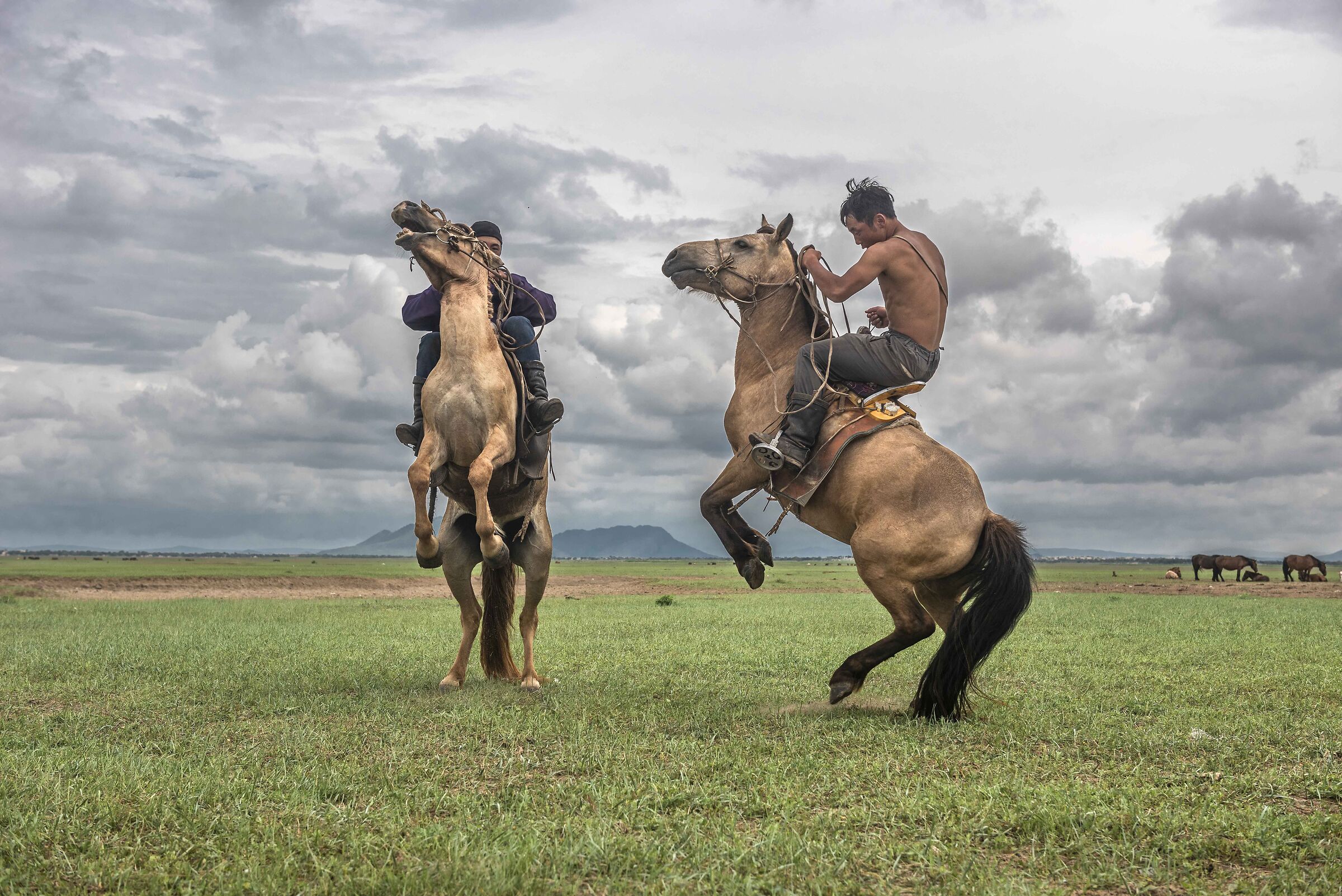 Broken Horses