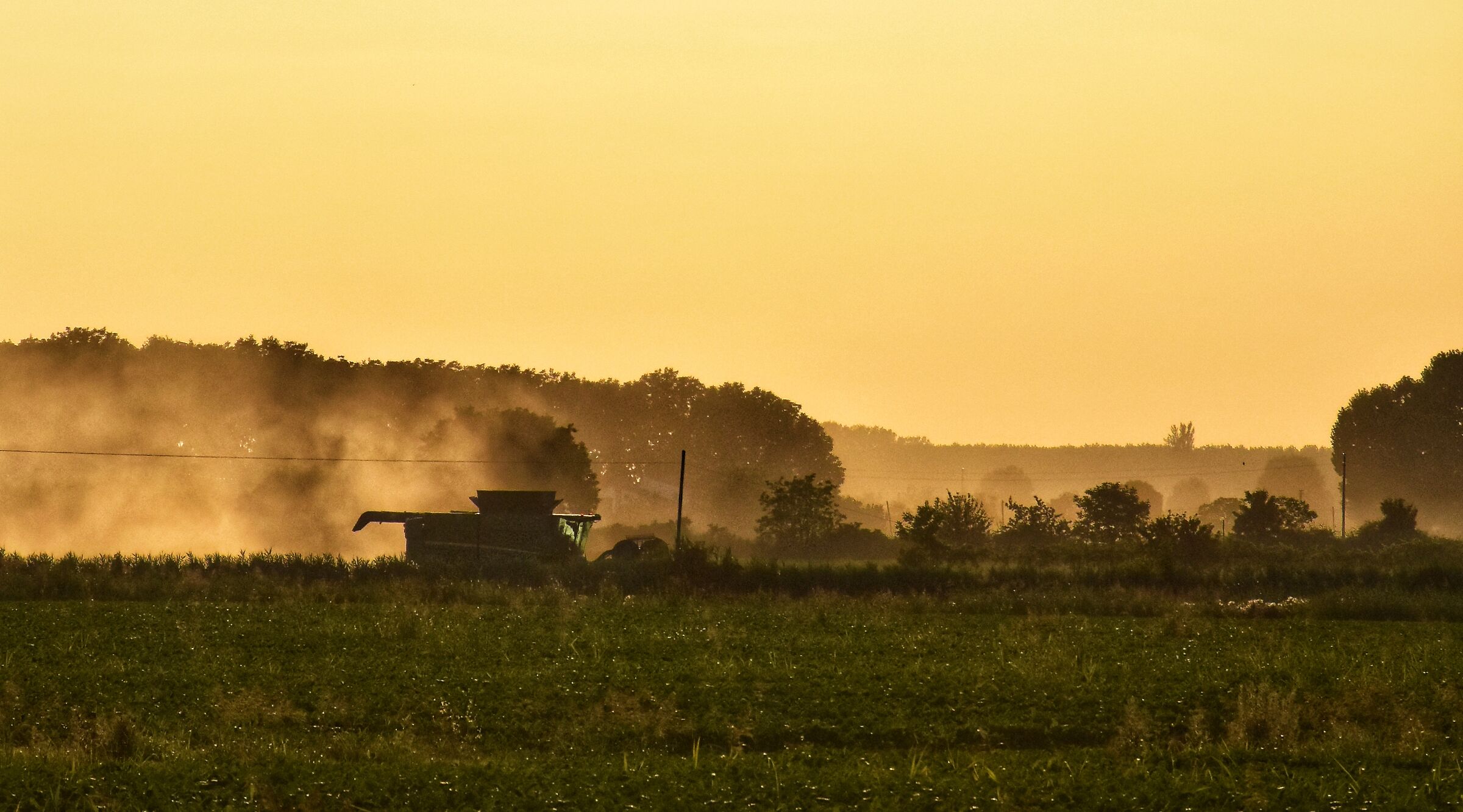 La mietitura di luglio in pianura