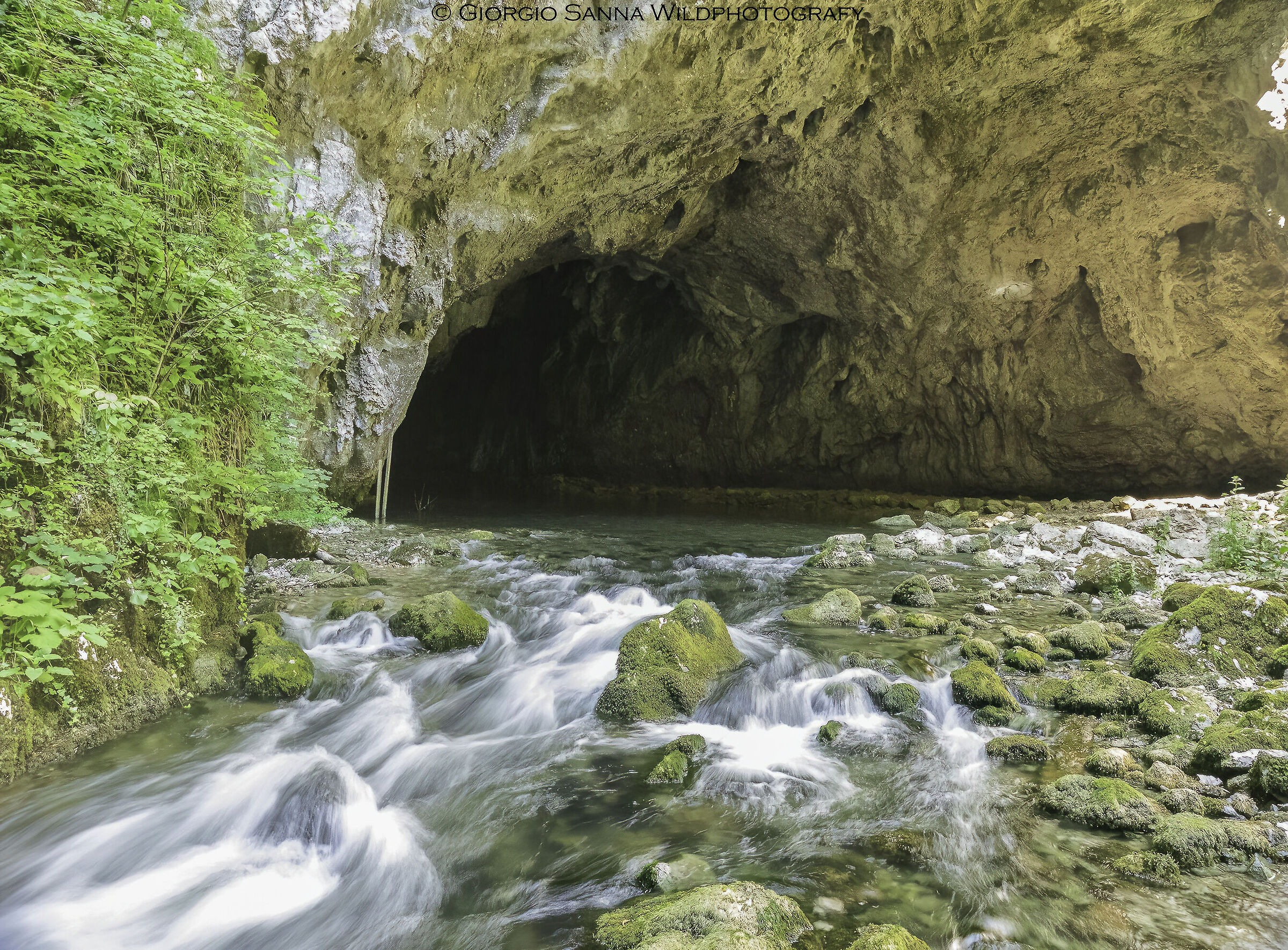 Shrimp River Slovenia