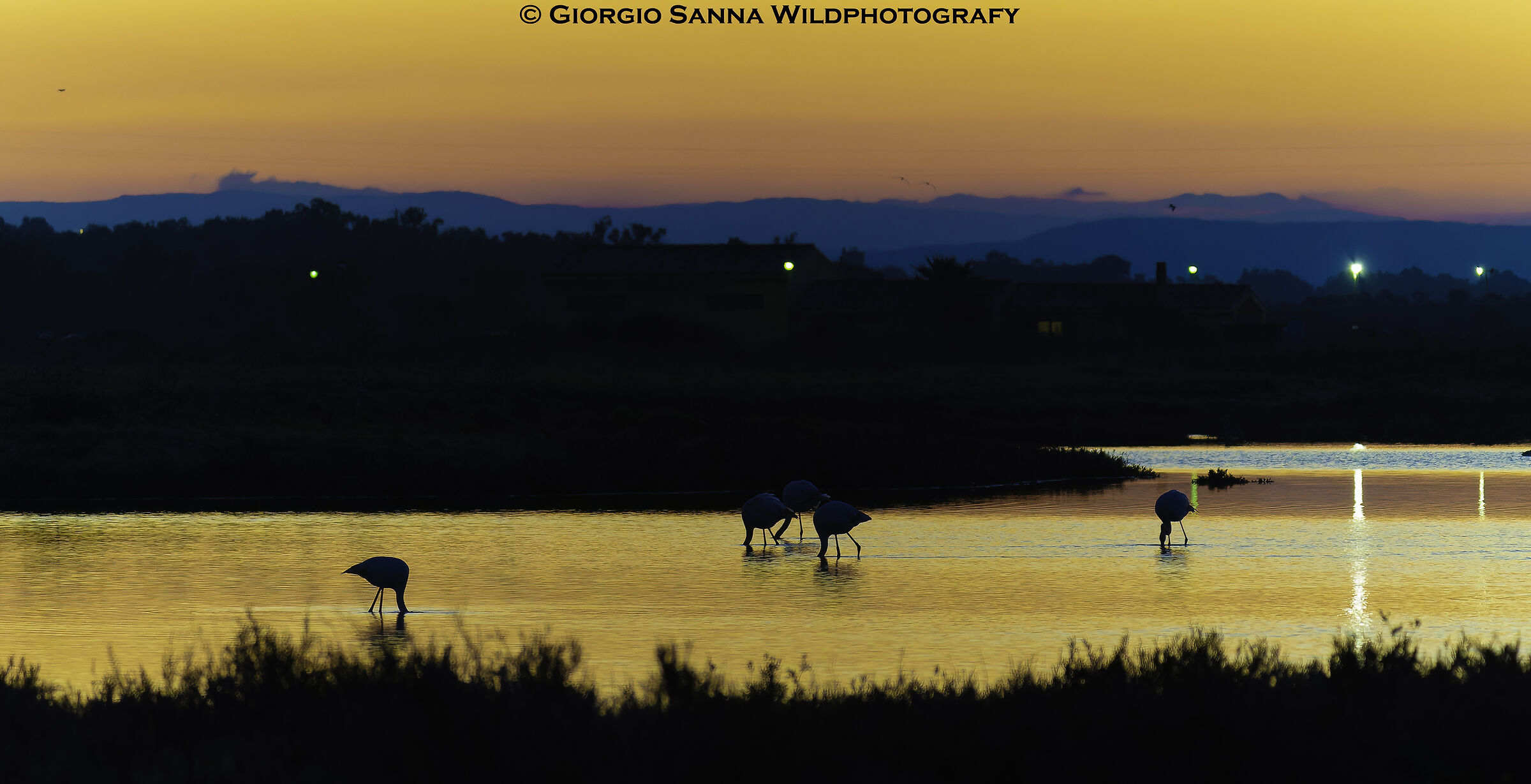 Sunrise in the lagoons of Oristano