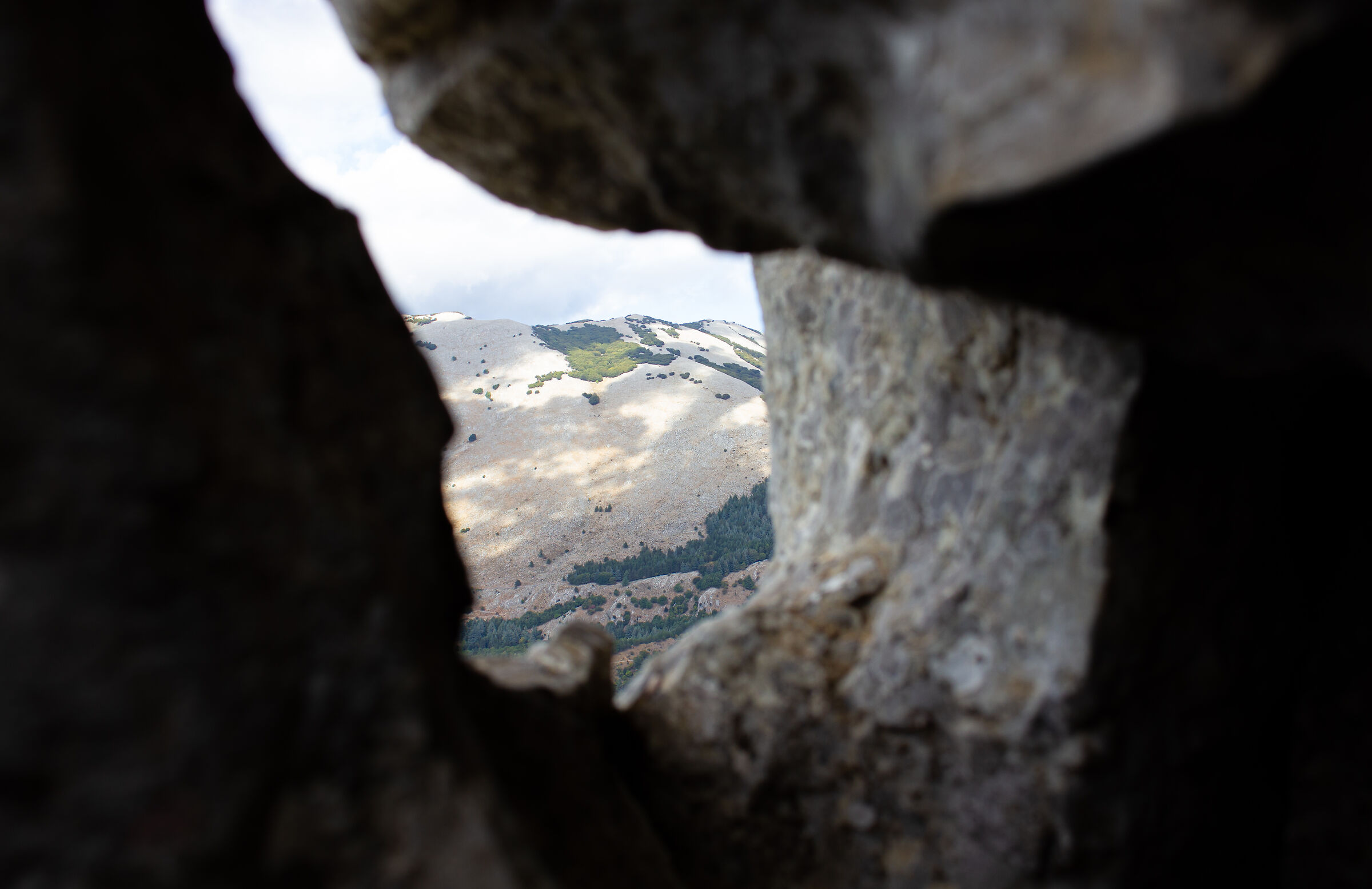Looking at carbonate rocks