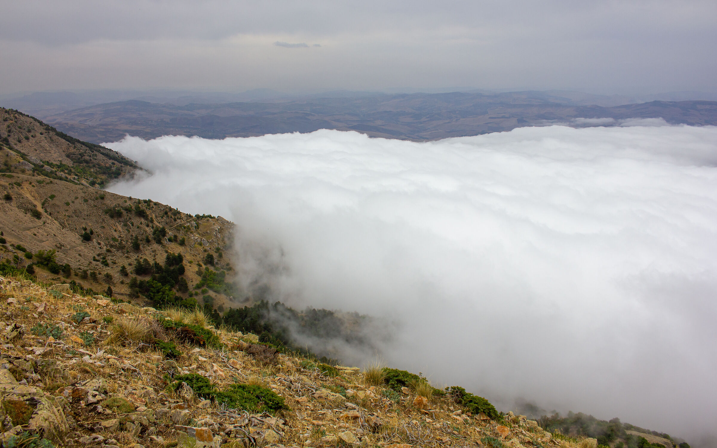 Summer sea at high altitude