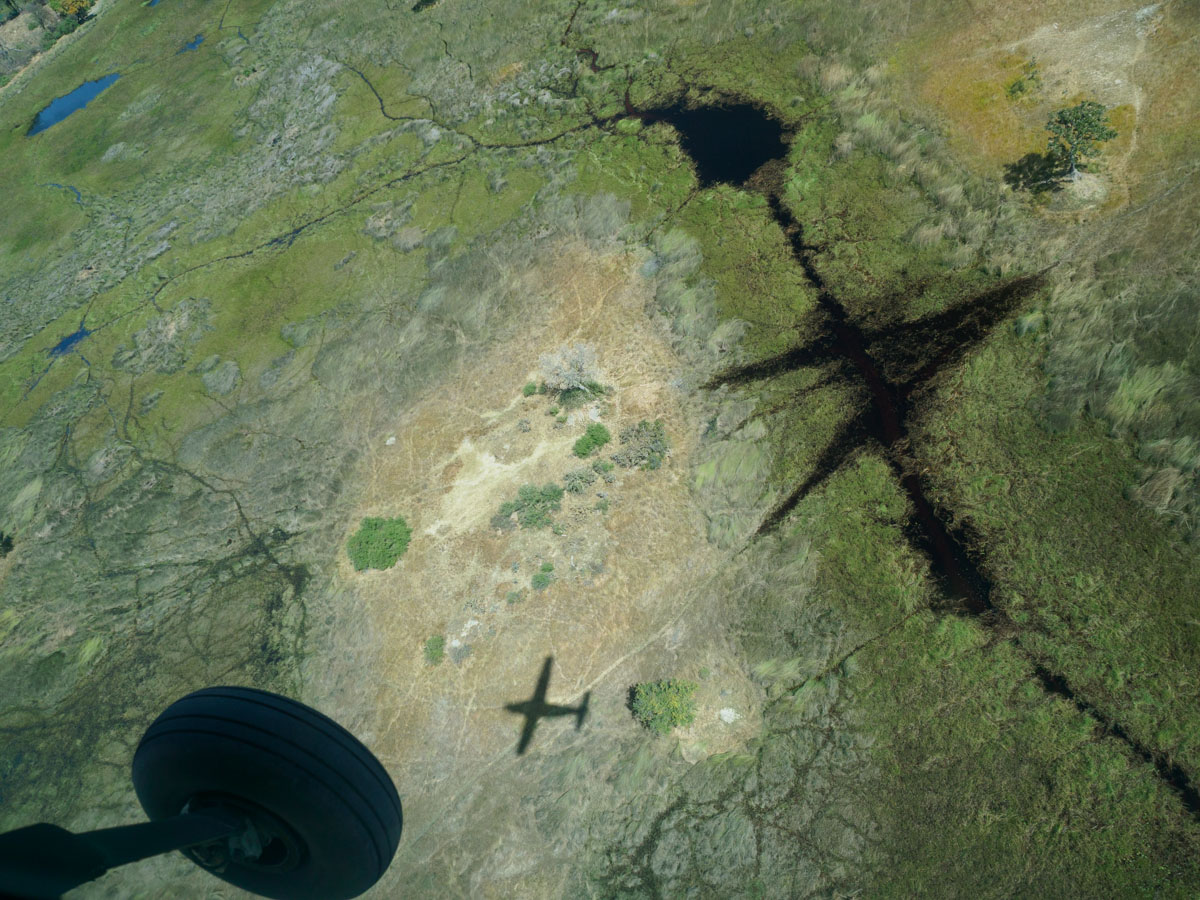 Okavango by air