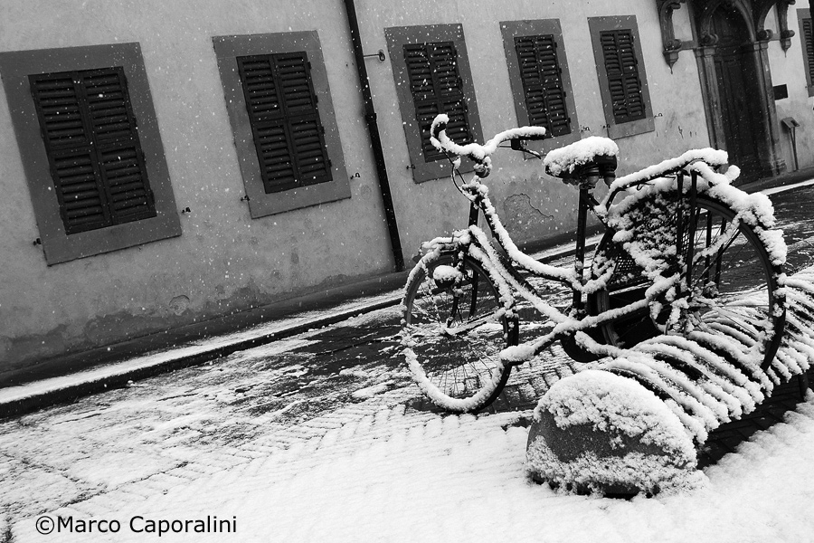 Cycling in the snow