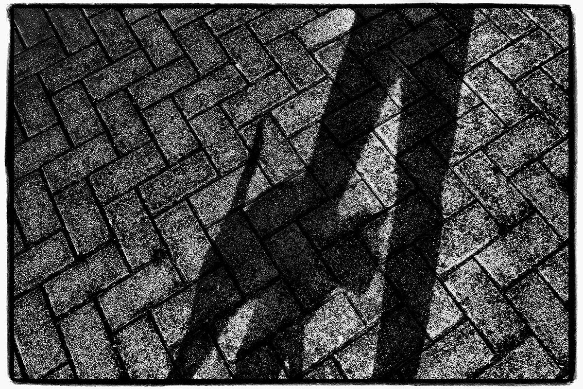 in cerca di coccole ...