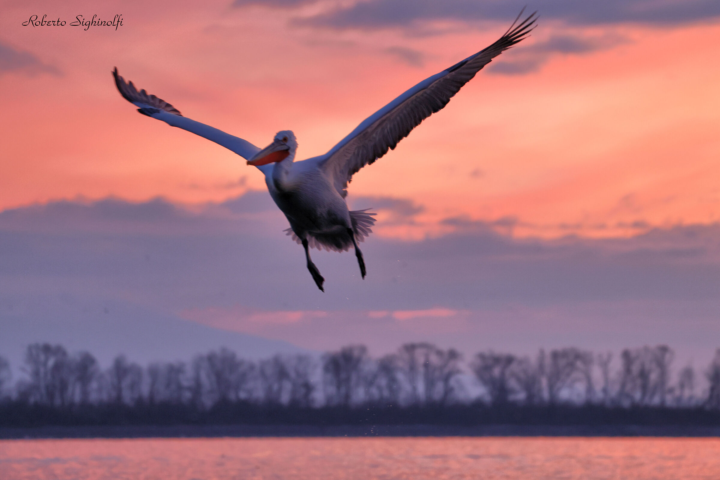 Sunrise and sunset in flight