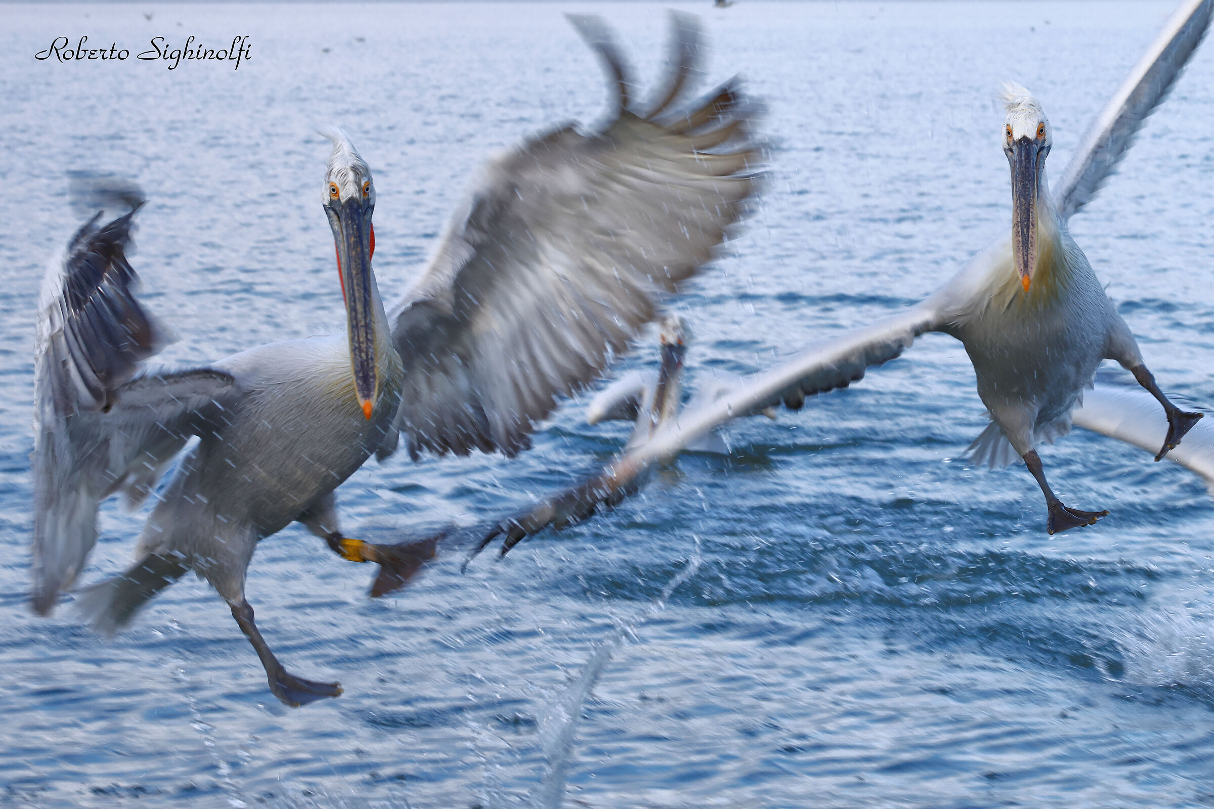 Panning in flight