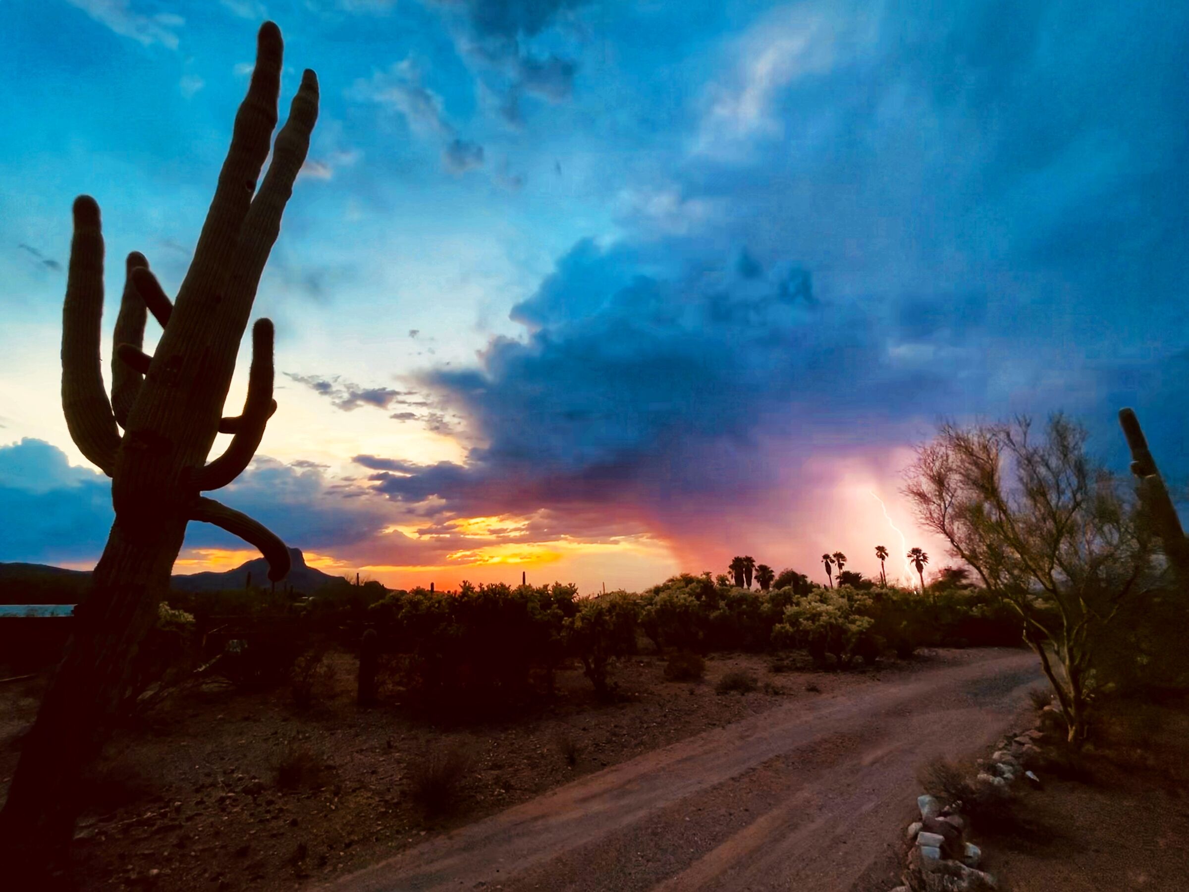 Tramonto a Tucson