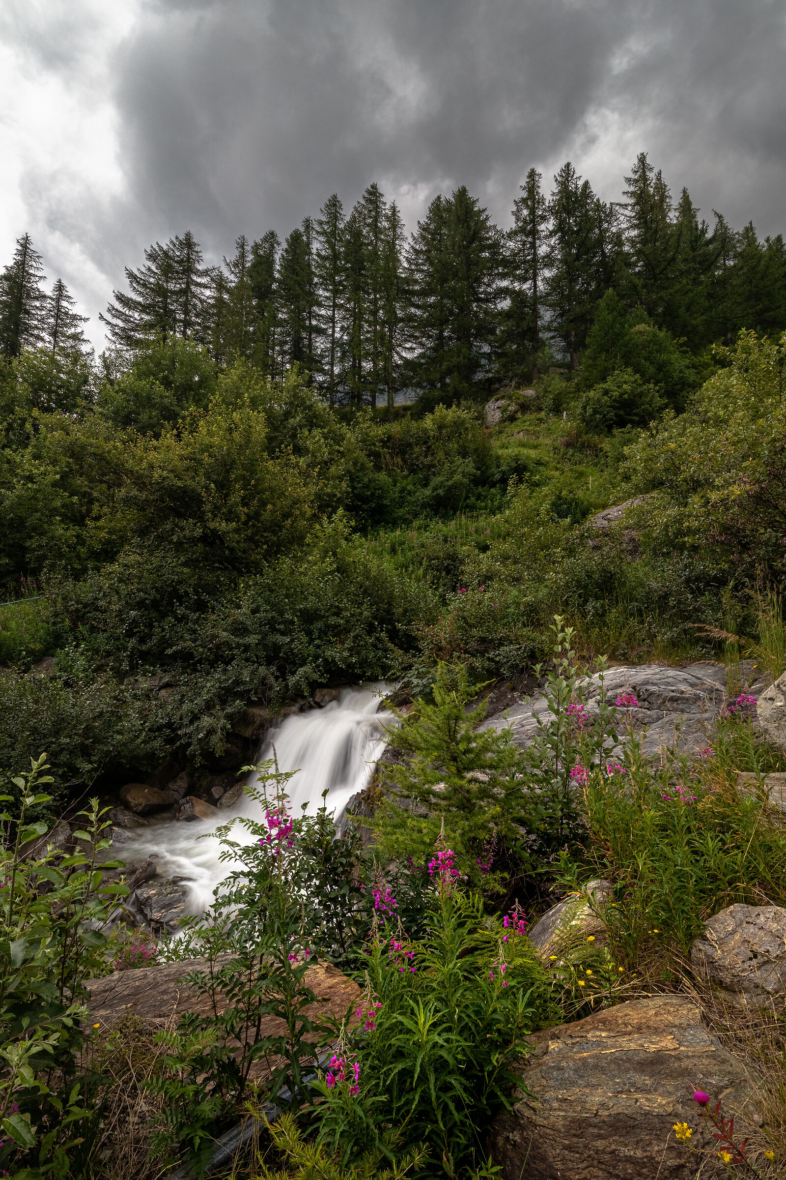 Acqua svizzera