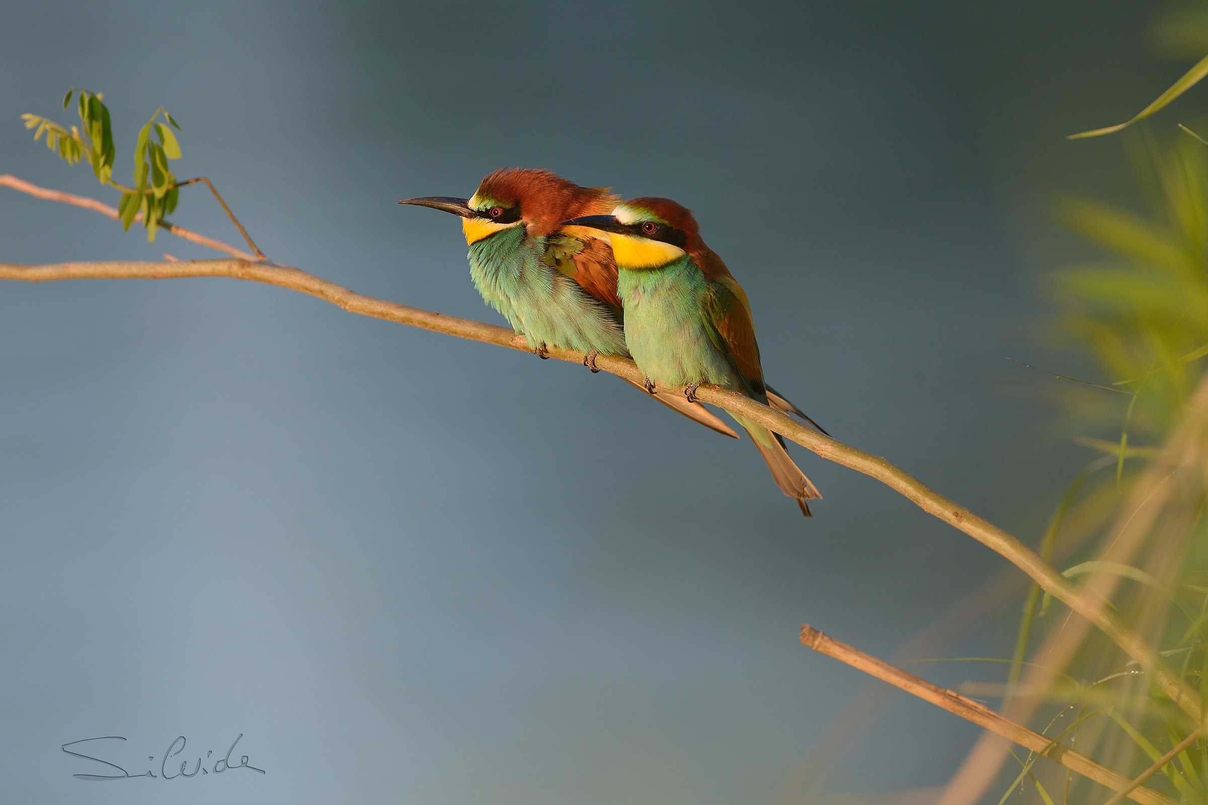 Là in fondo scorre il fiume