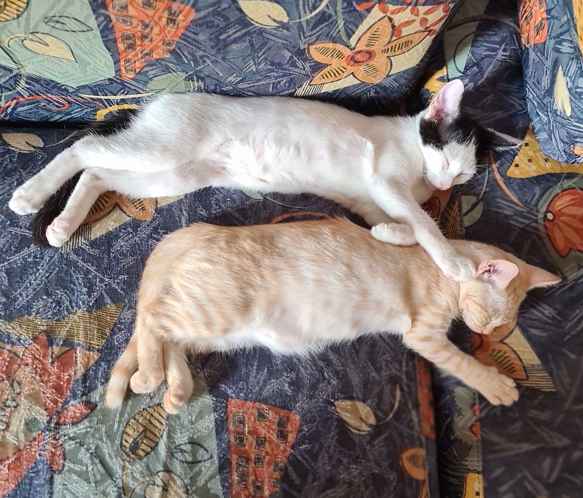 Chloe and Maya