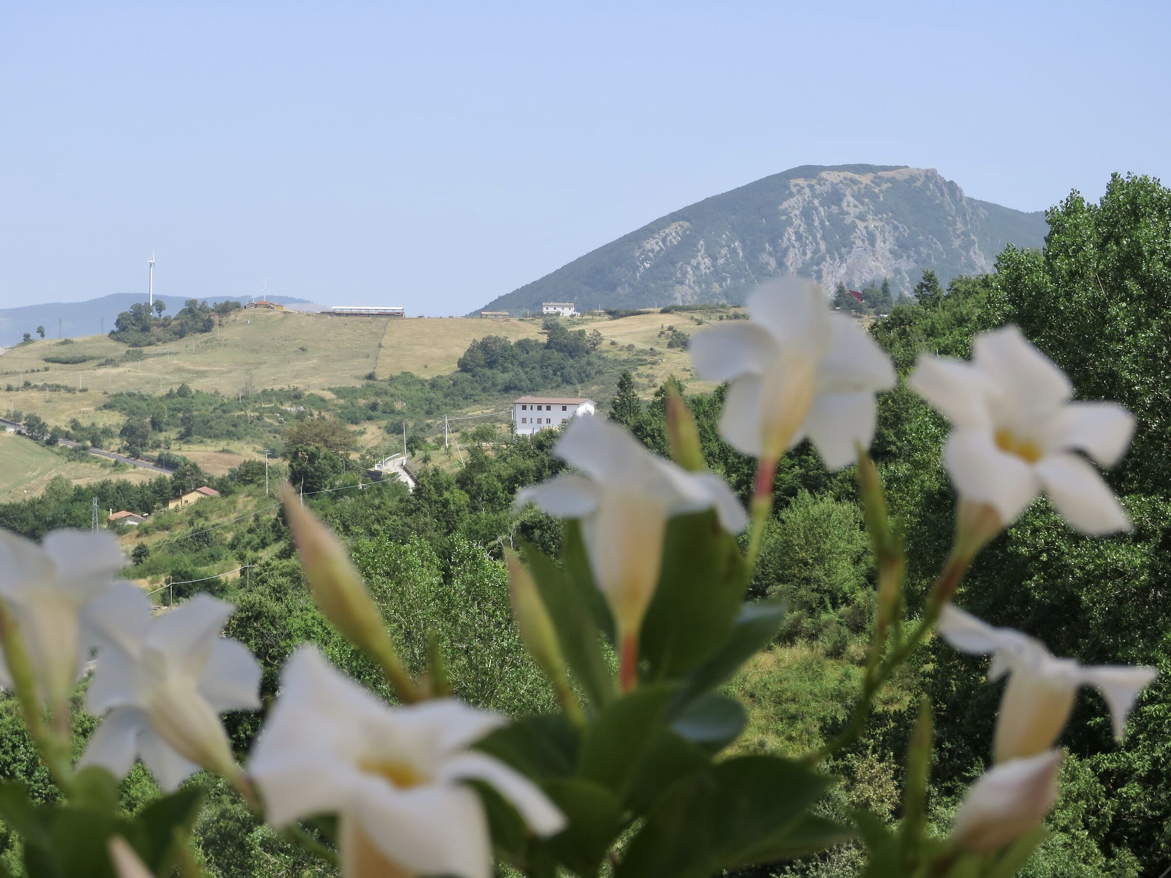 Irpinia 2