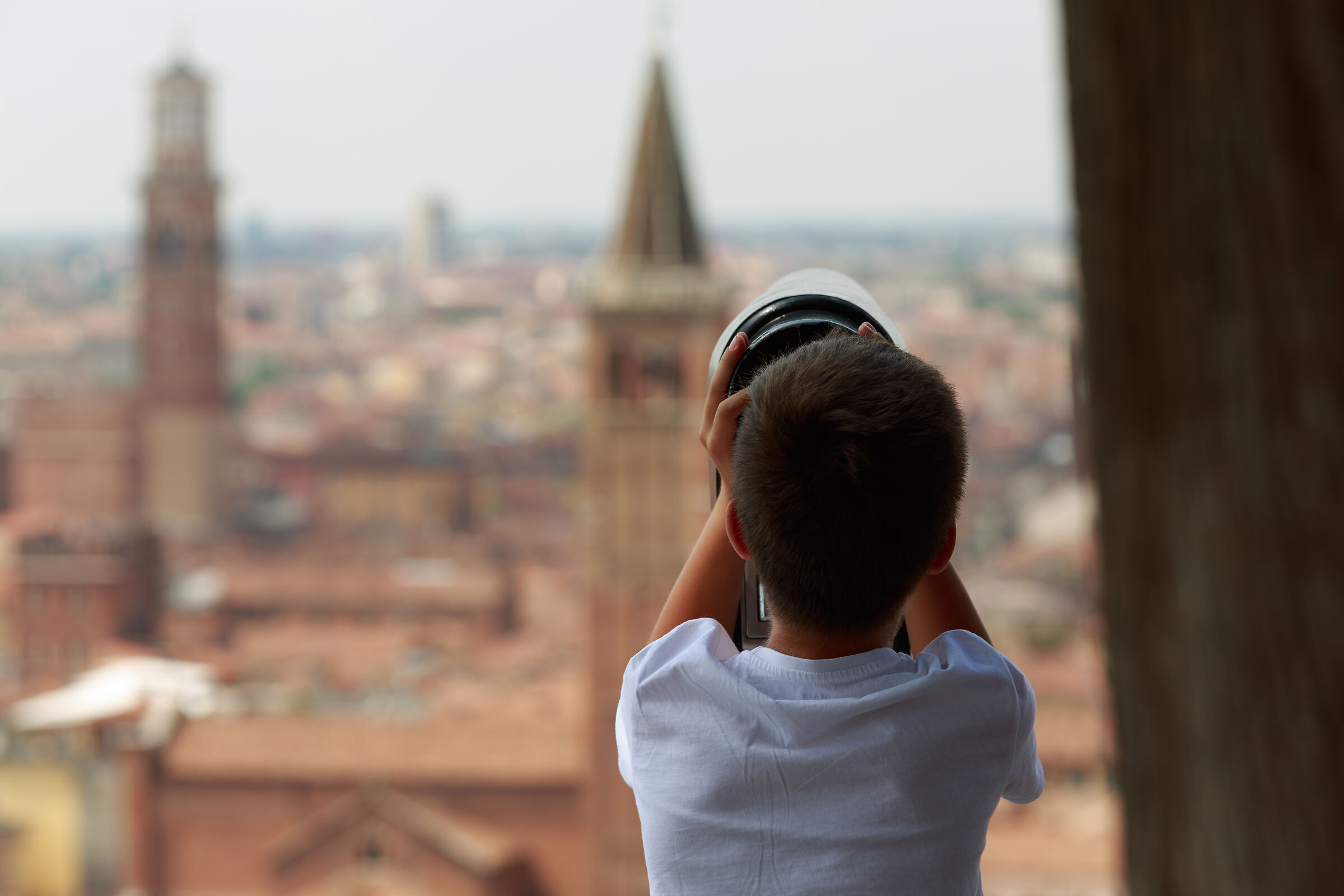 Looking to the future