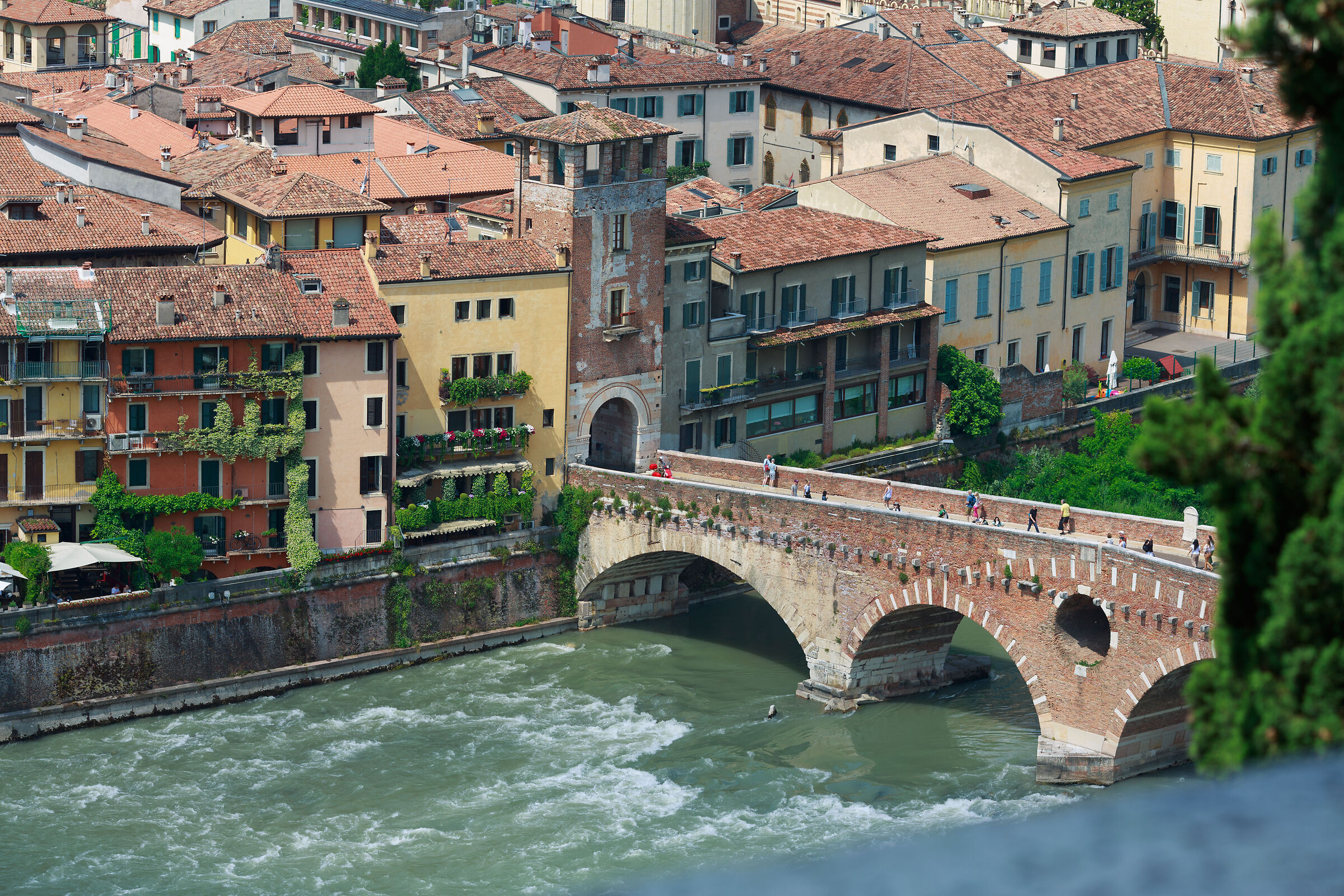 Different perspective