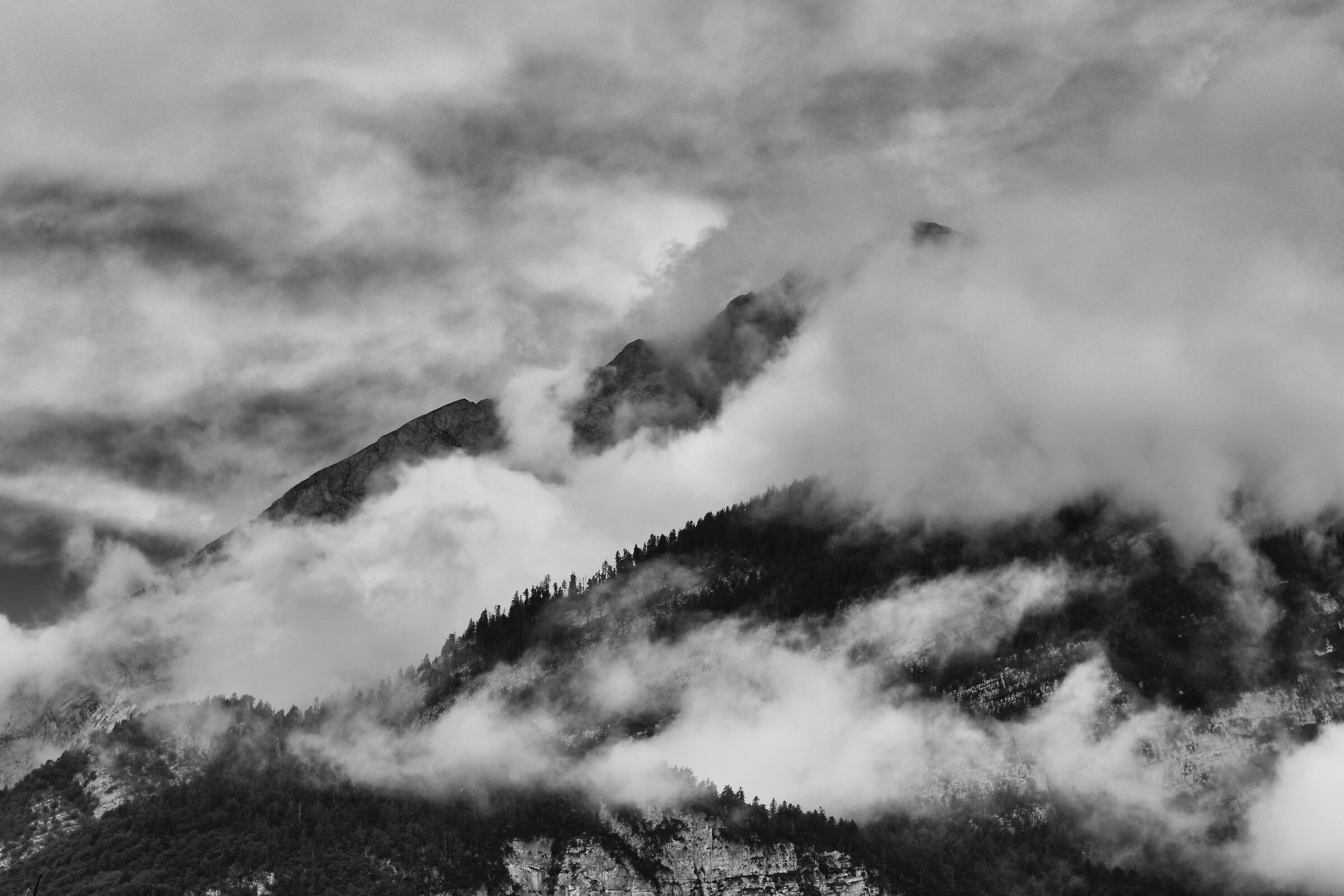 Dolomiti del Brenta bw