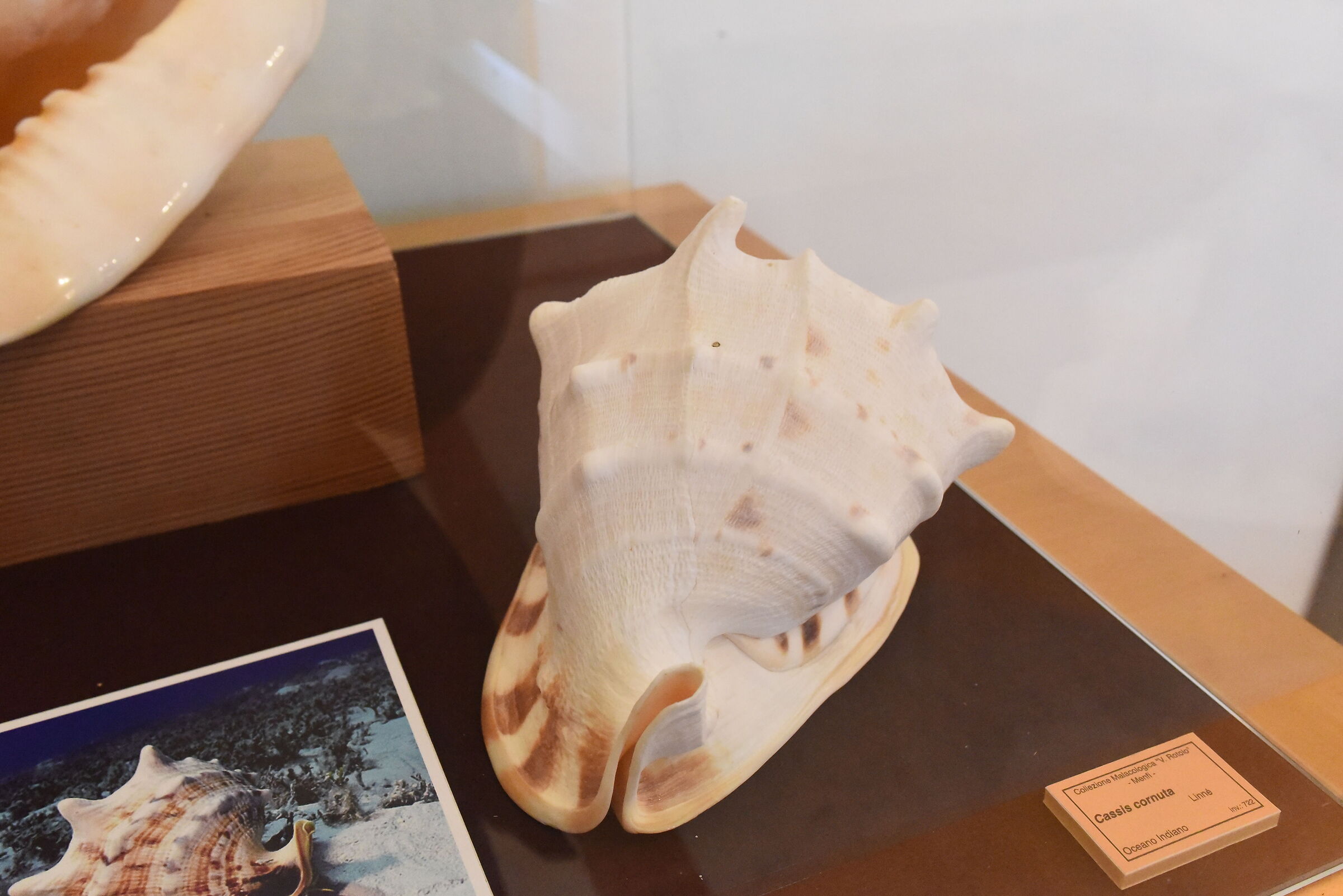 @ F. 8 , " ISO 12 thousand 800 ", Nikon 28, 1.4 and ED, D 75...